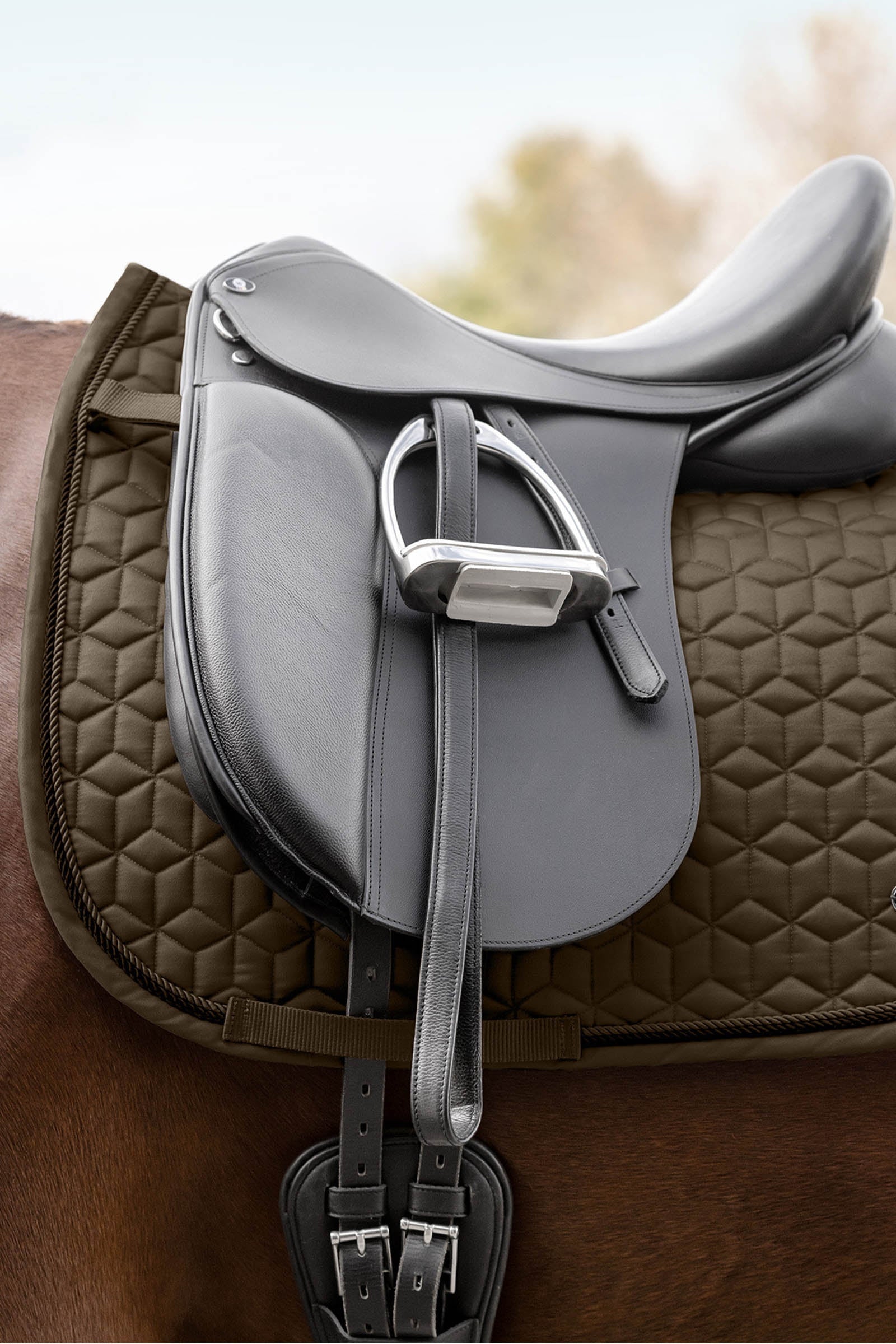 Waldhausen Philadelphia All Purpose Saddle Pad Saddle Pads