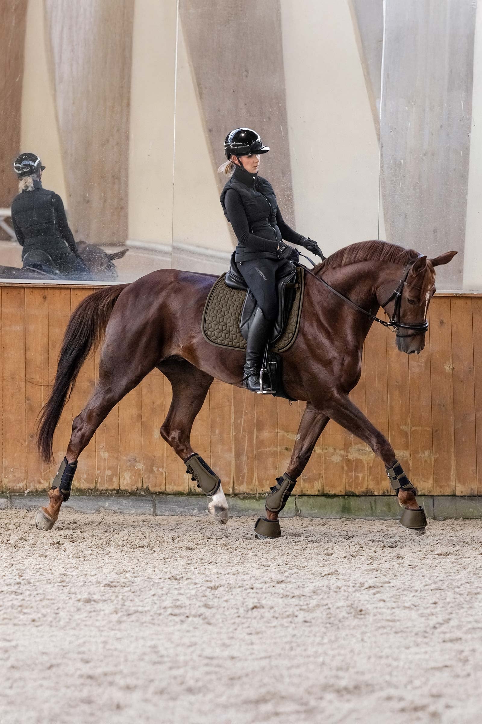 Waldhausen Philadelphia All Purpose Saddle Pad Saddle Pads