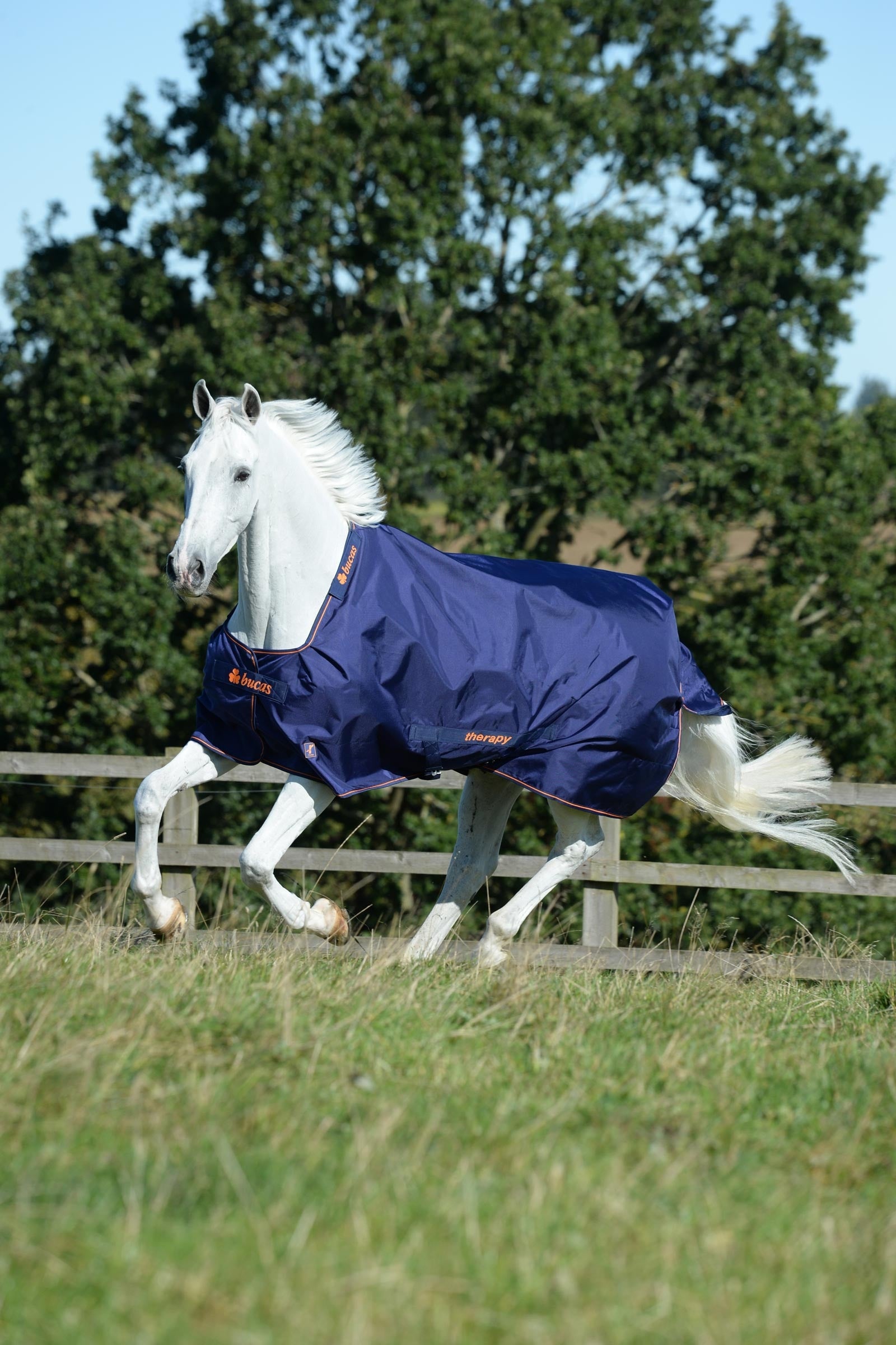 Bucas Therapy Turnout Rug, 150g Horse Rugs