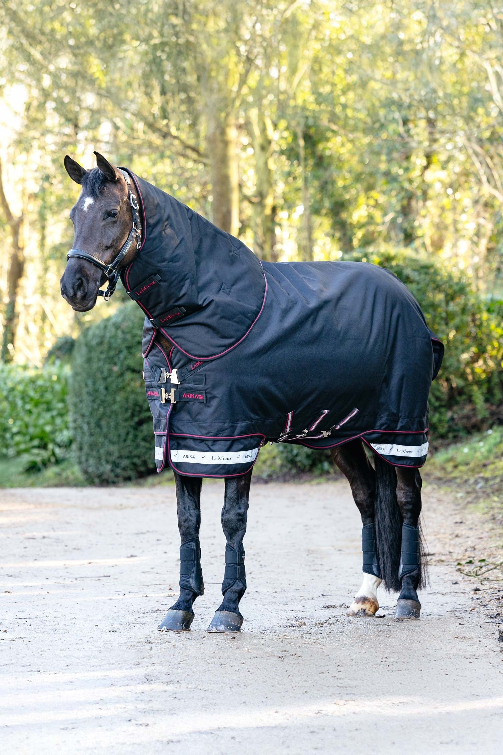 LeMieux Arika Storm-Tek Weidedecke mit abnehmbarem Halsteil, 100 g Pferdedecken