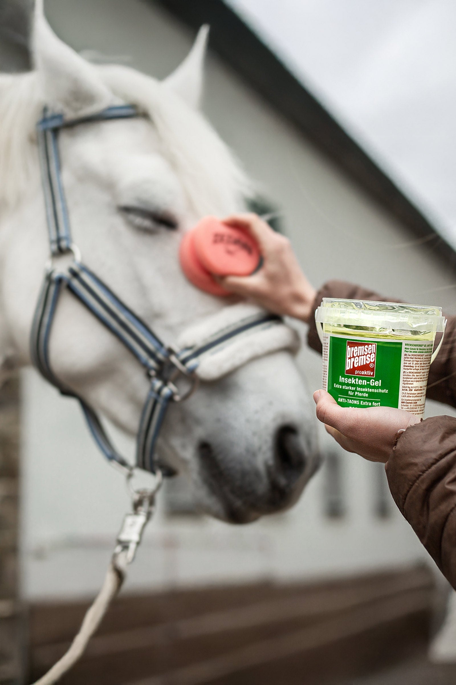 Bremsenbremse Proactive Gel With Sponge 500ml Antifly Protection for Horses