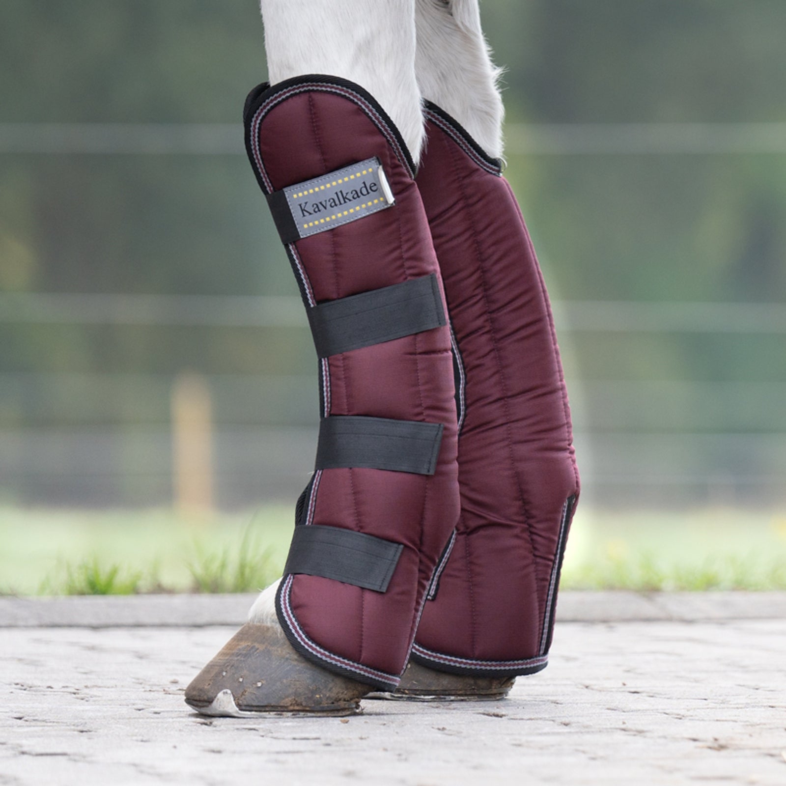 Kavalkade Montreal Travelling Boots (Set of 4) Leg Protection & Hoof Protection for Horses