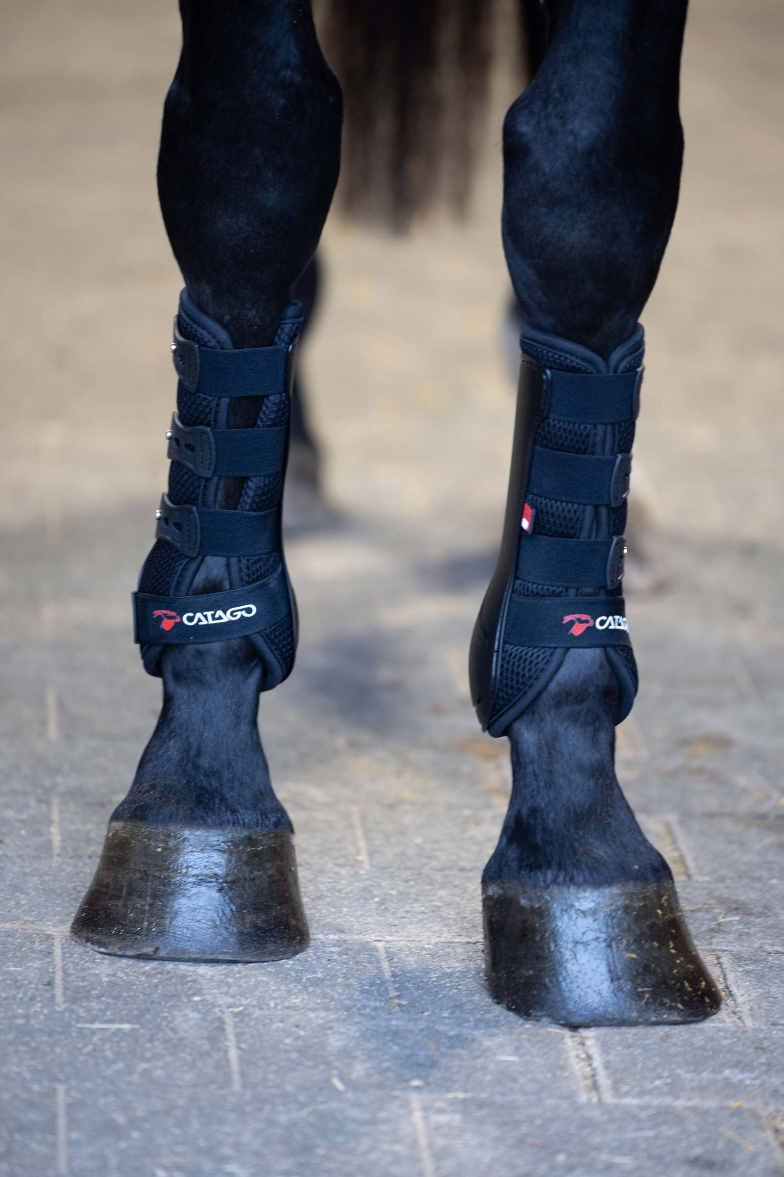 Catago FIR-Tech Dressage Boots Leg Protection & Hoof Protection for Horses