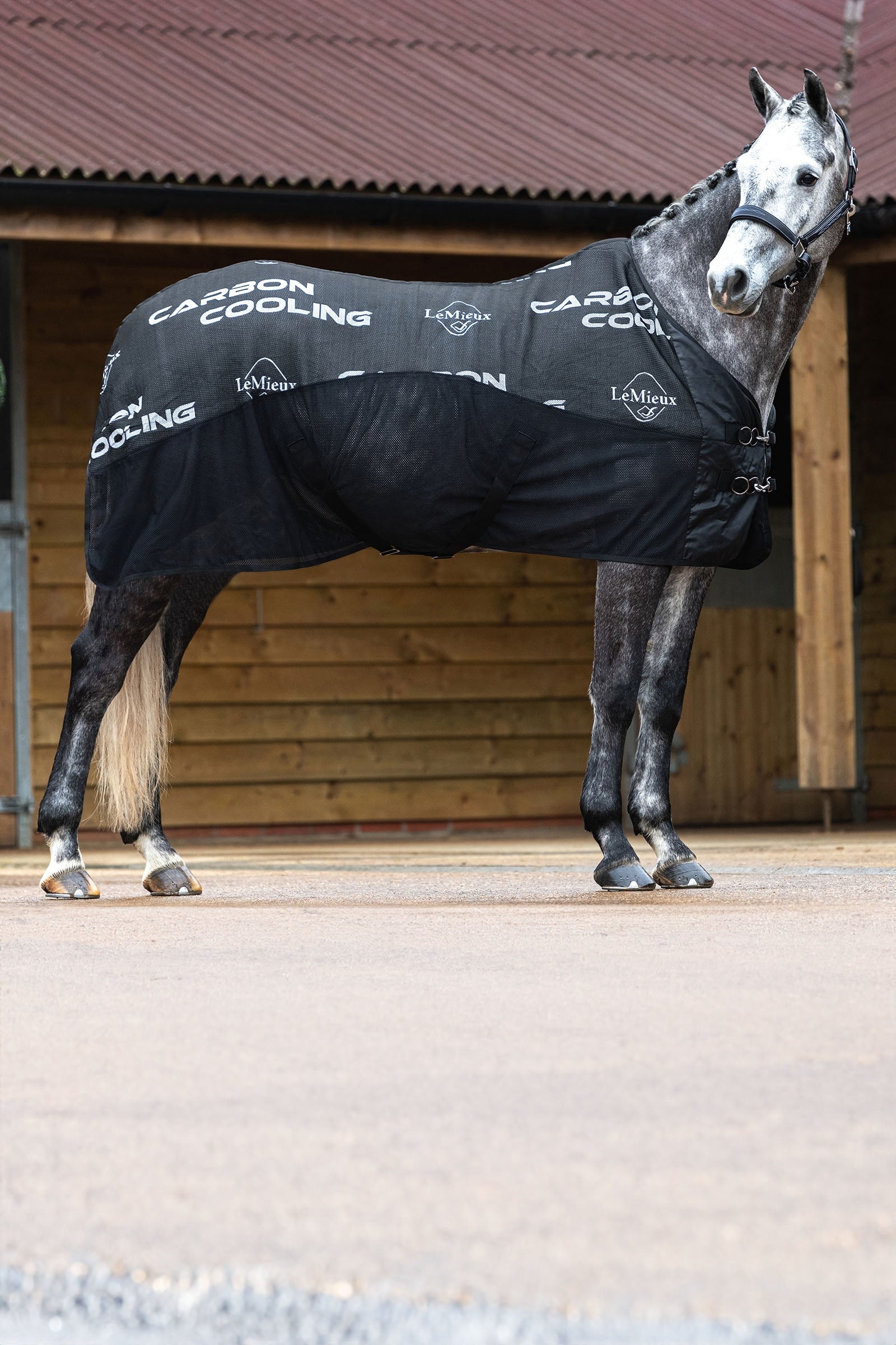 LeMieux Carbon Cooler Rug Horse Rugs