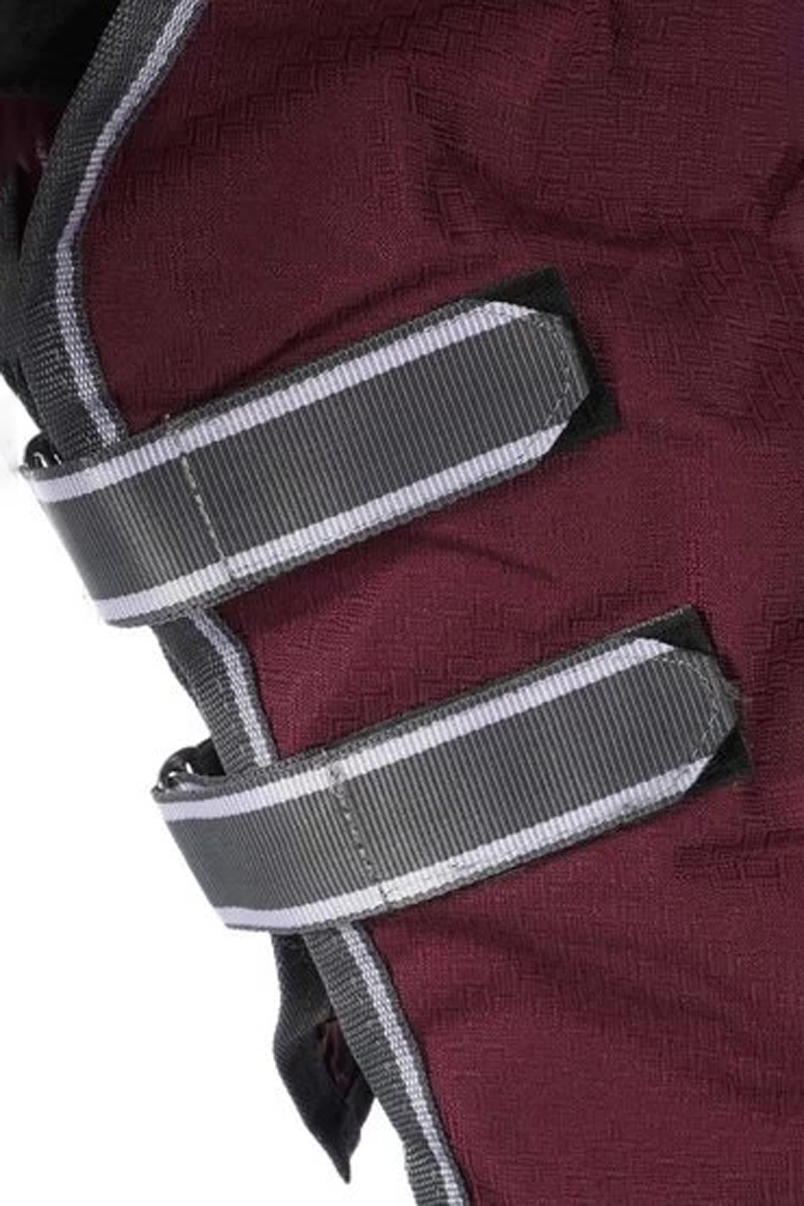 Weatherbeeta Comfitec Plus Dynamic II Turnout Rug With Detachable Neck, 100g Horse Rugs