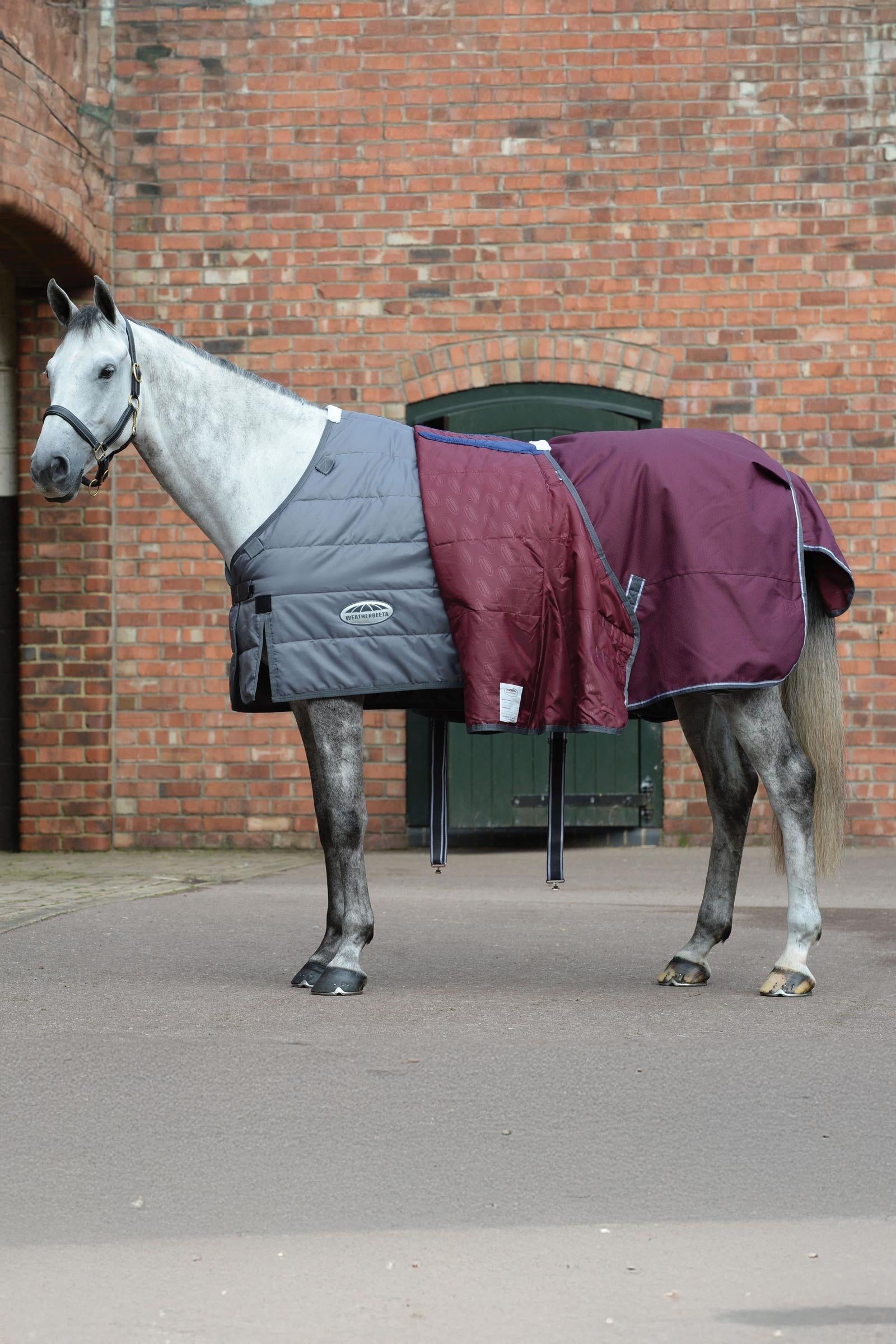 Weatherbeeta Comfitec Plus Dynamic II Turnout Rug With Detachable Neck, 100g Horse Rugs