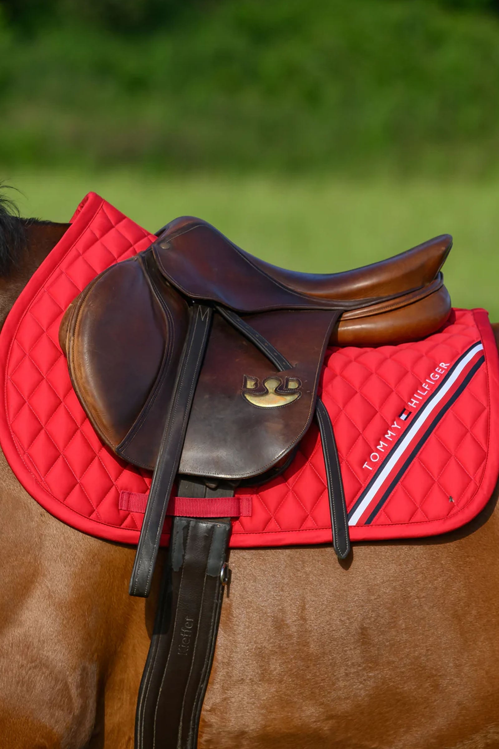 Tommy Hilfiger Equestrian Stanford Jumping Saddlepad Saddle Pads