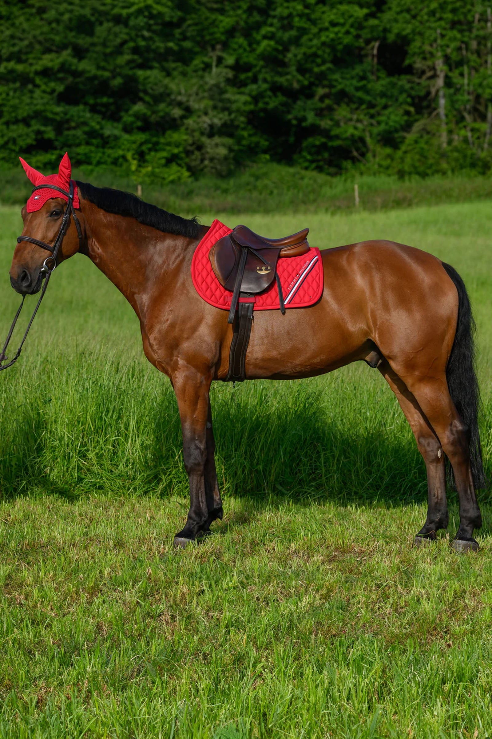 Tommy Hilfiger Equestrian Stanford Jumping Saddlepad Saddle Pads