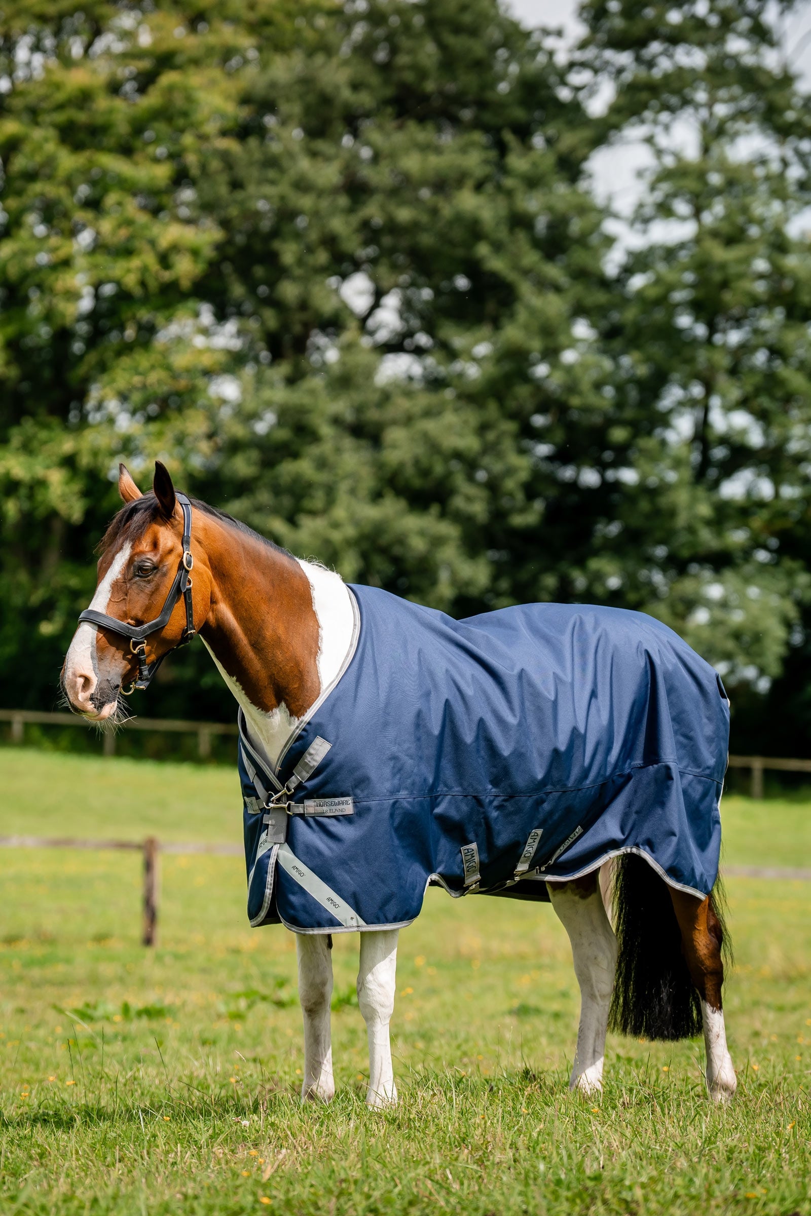 Horseware Amigo 1200D Outdoordecke, 250 g Pferdedecken
