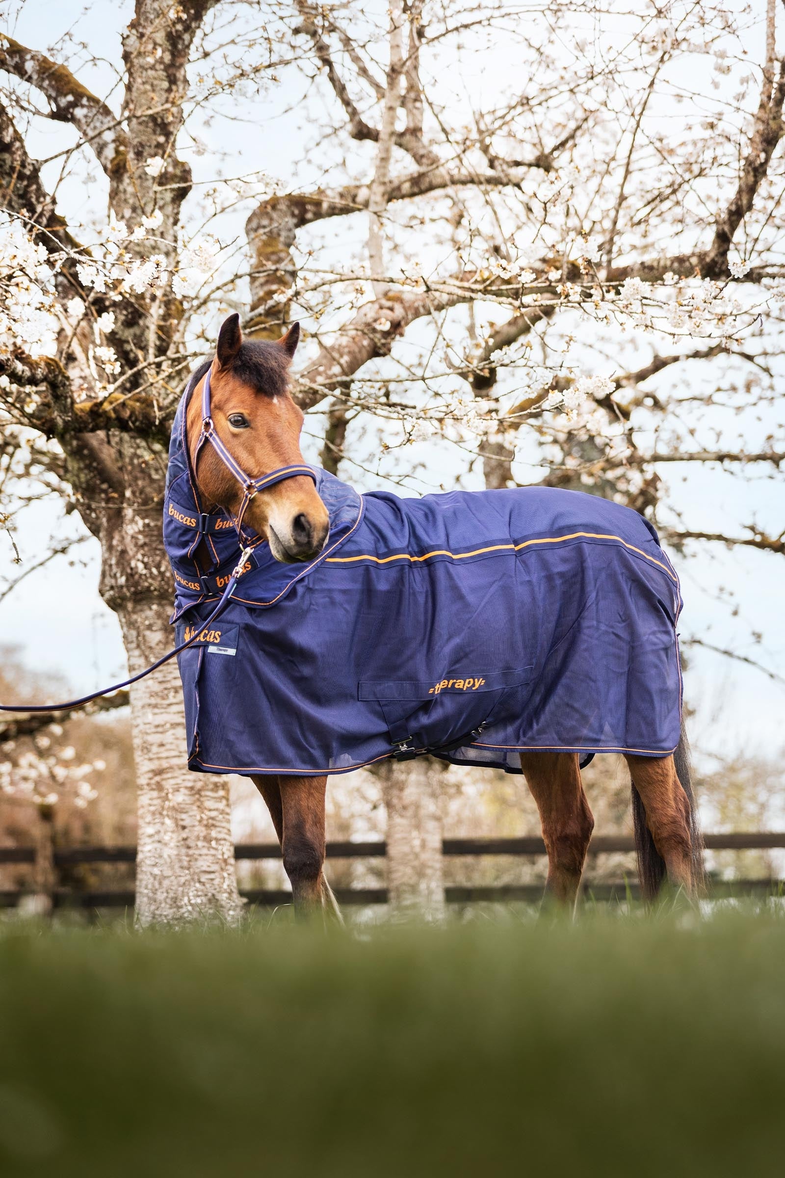 Bucas Therapy Mesh Neck Horse Rugs
