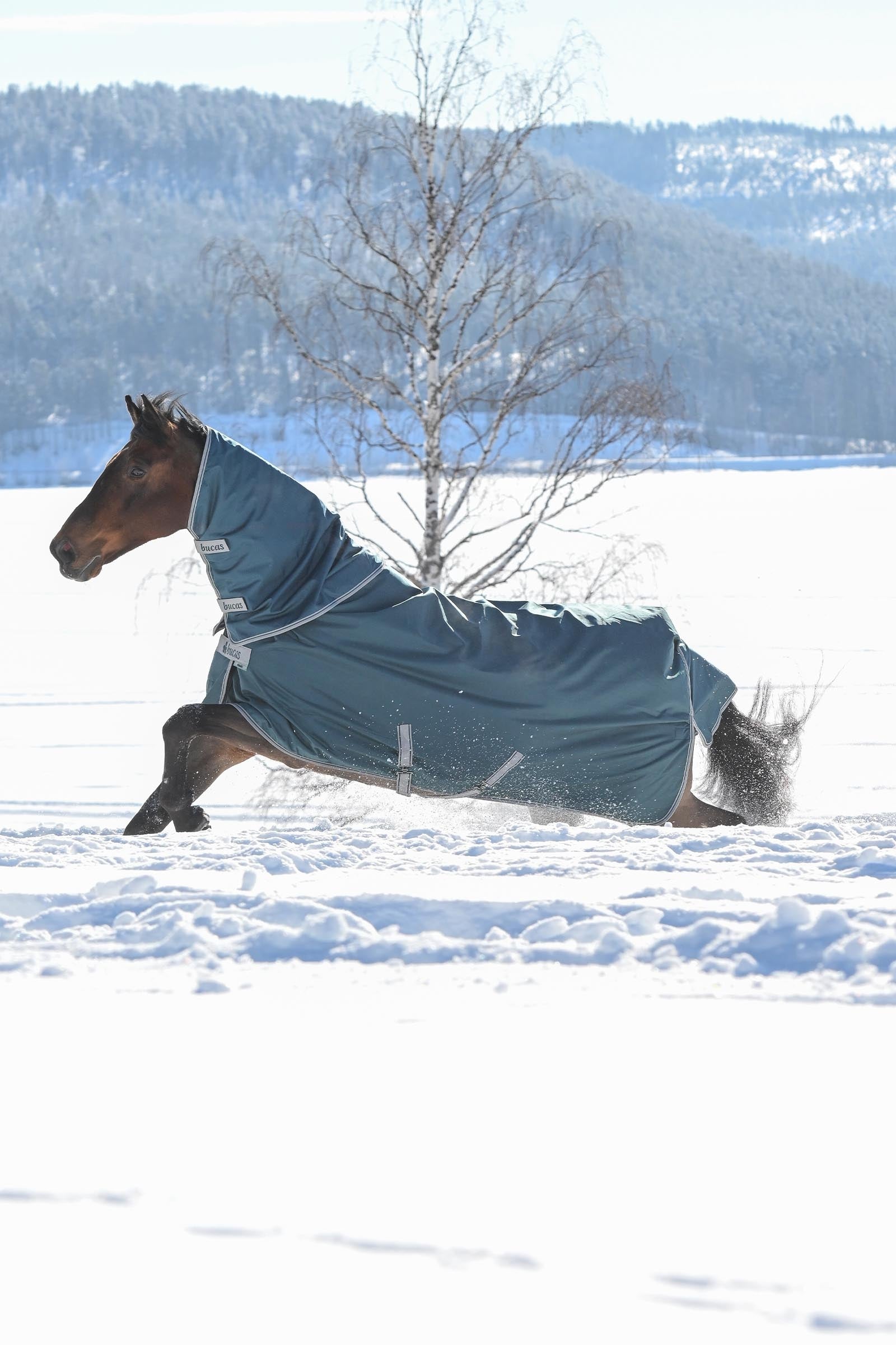 Bucas Atlantic Turnout Neck Piece, 300 g Horse Rugs