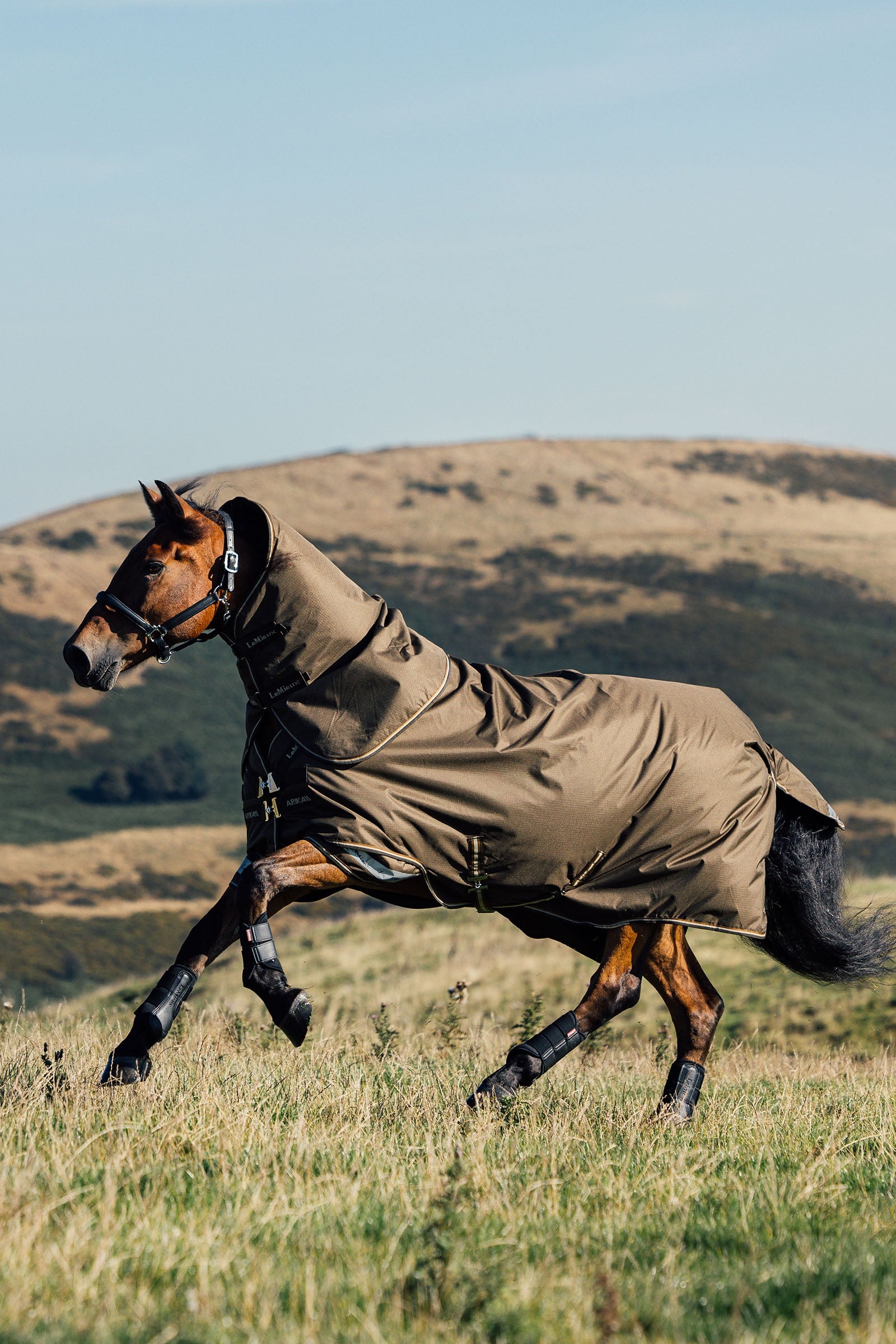 LeMieux Arika Ripstop Turnout Rug With Detachable Neck, 100 g Horse Rugs