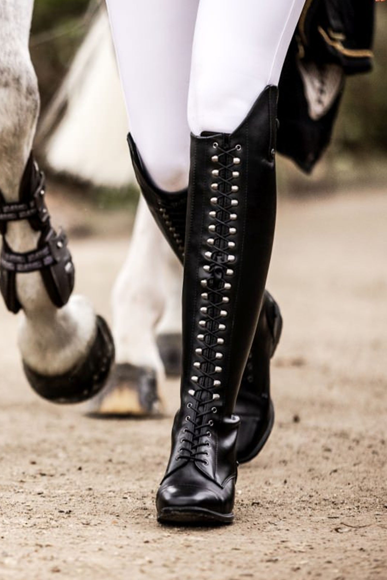 Suedwind Footwear Legacy Venado Vegan Lace Tall Riding Boots Riding Boots & Riding Shoes