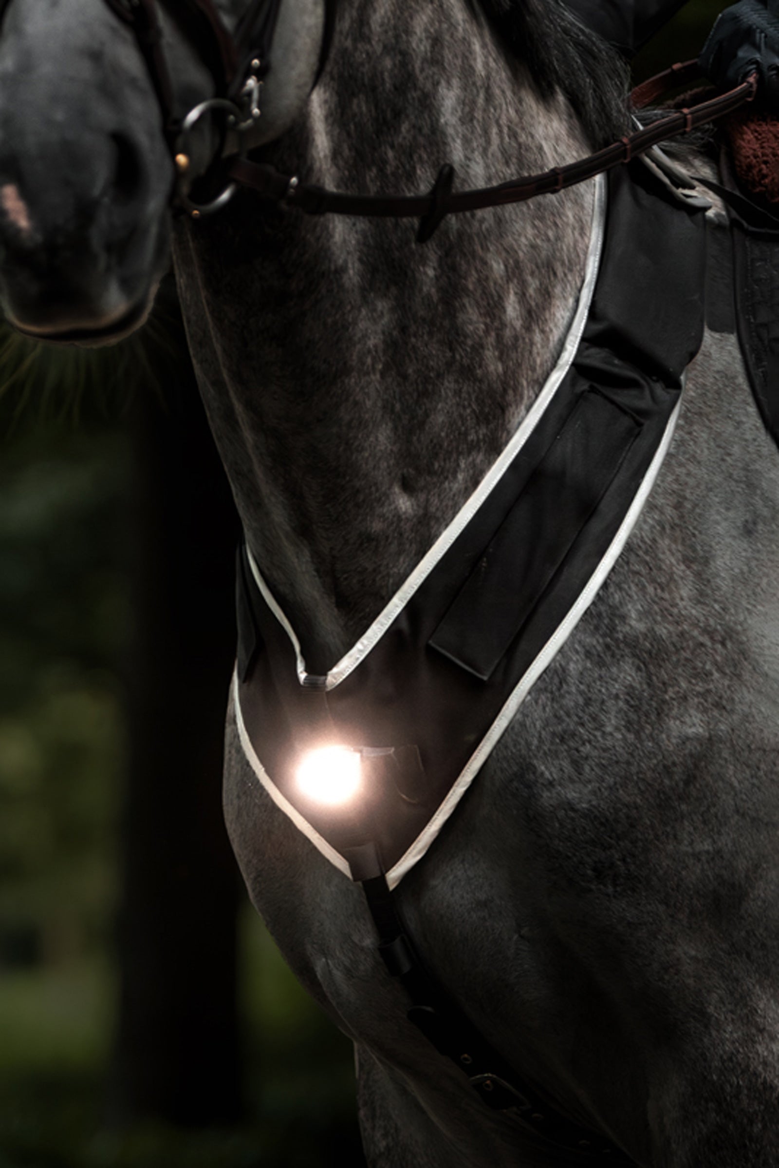 Kavalkade Horselight Breastplate & Saddle Light, Set 1 Reflective