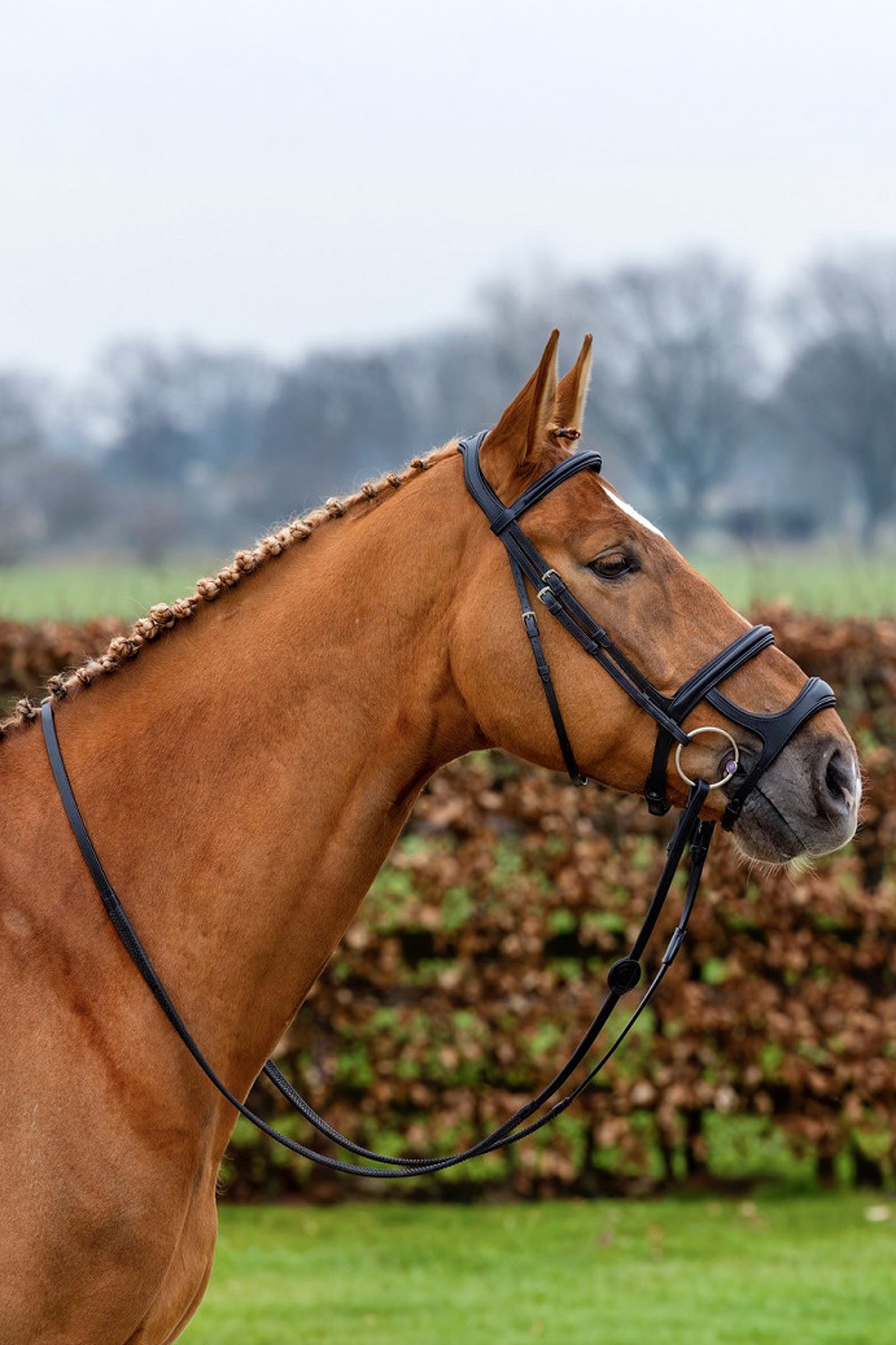 Trust Equestrian Paris Double Noseband Bridle Bridles & Reins