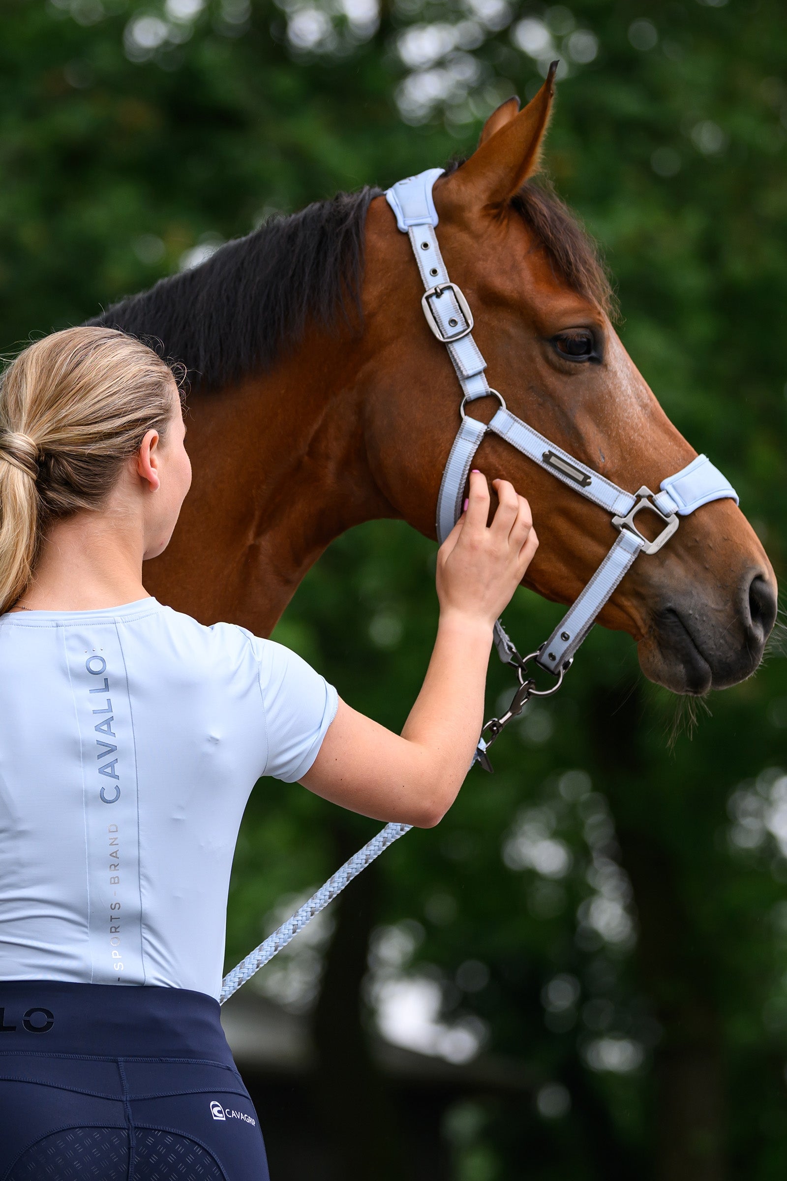 Cavallo CAVALSOFT Softshell Head Collar Halters & Leads