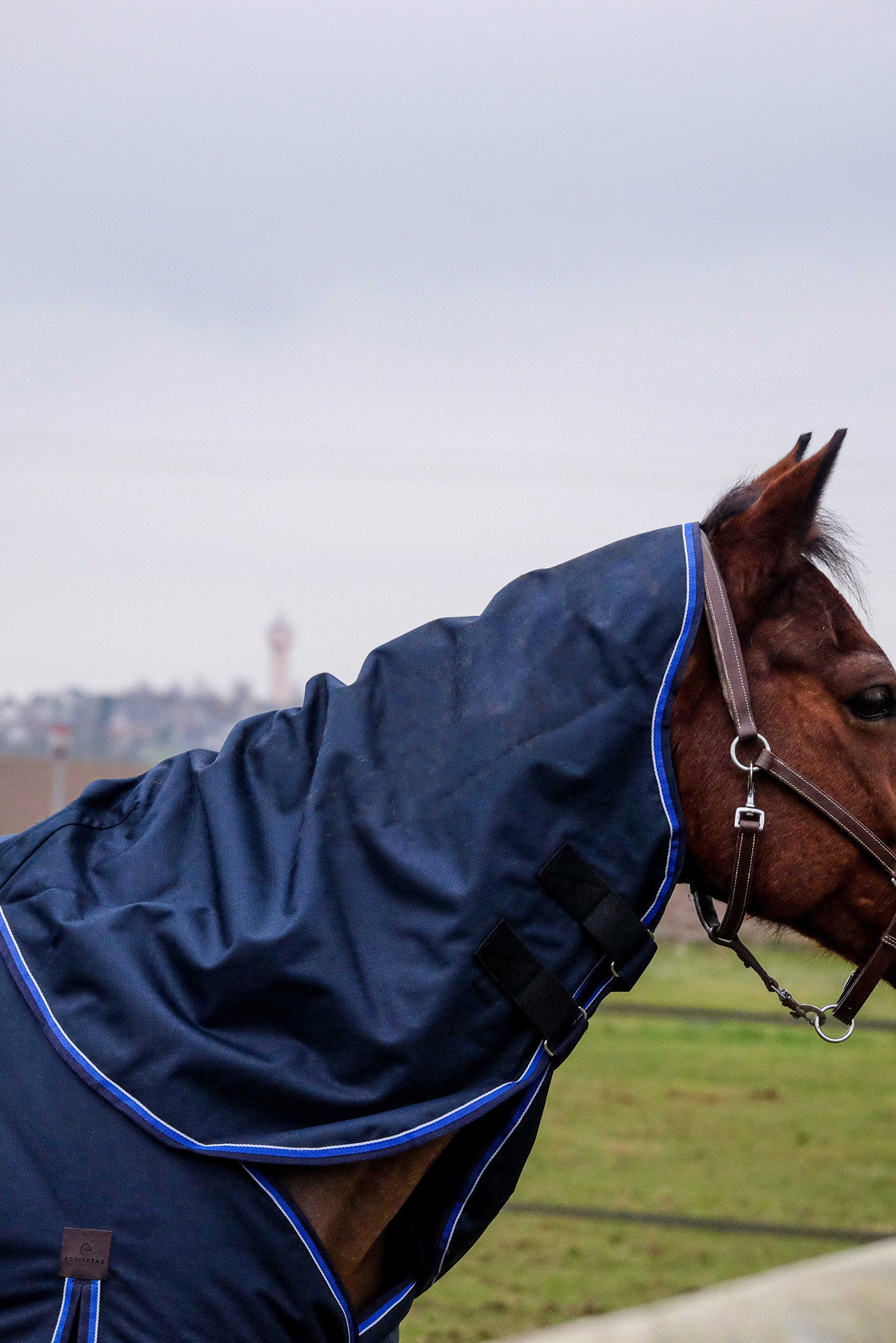 EQUITHÈME Classic 1200D Neck Cover, 0 g Horse Rugs