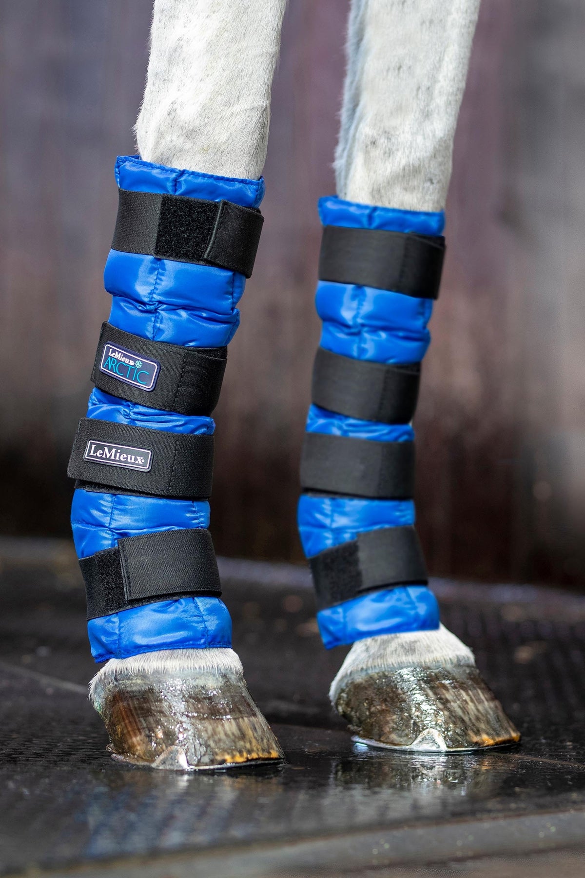 LeMieux Arctic Ice Boot (Pair) Leg & Hoof Protection