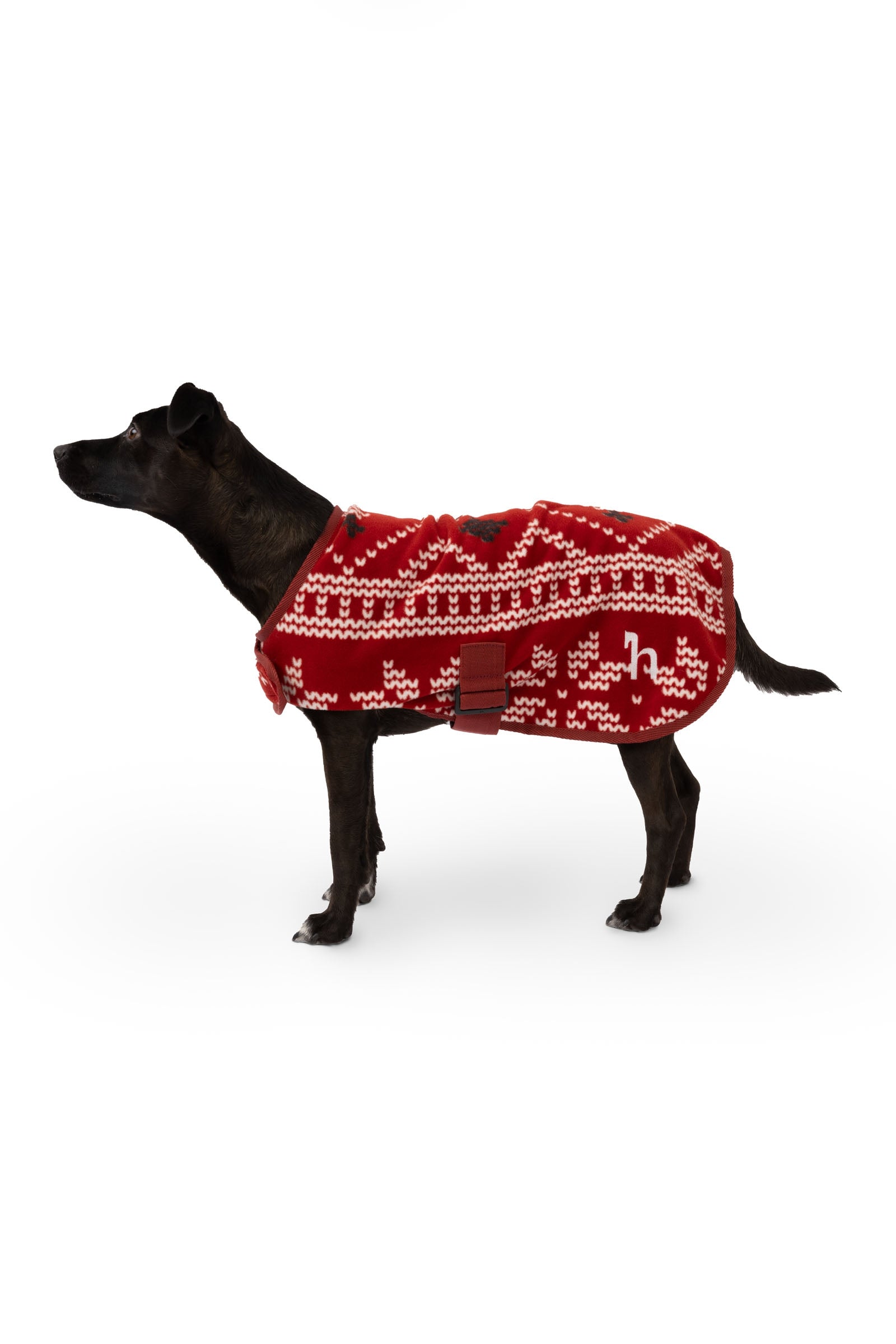 Horze Weihnachts-Hundepullover Hund