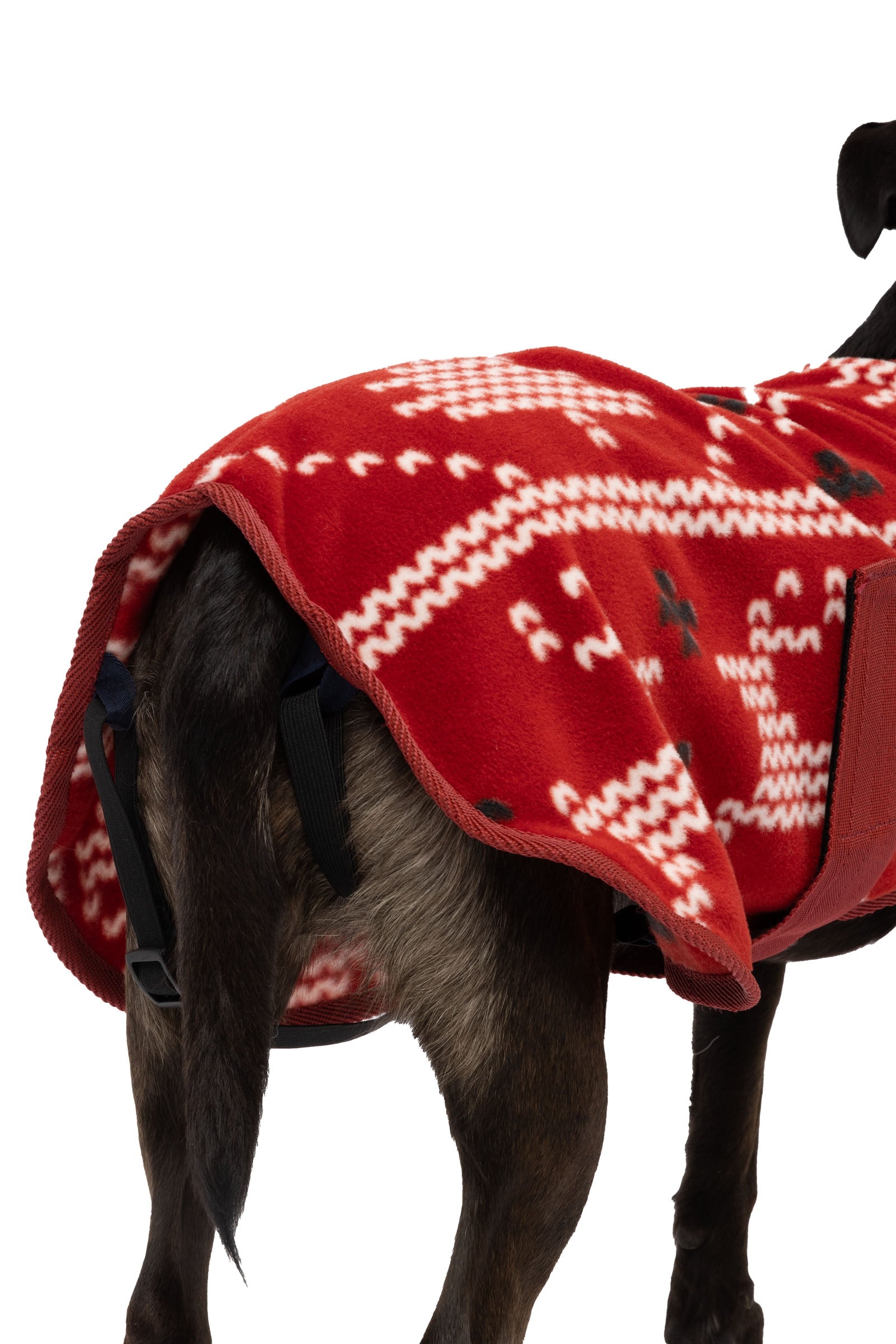 Horze Christmas dog sweater Dog Accesories