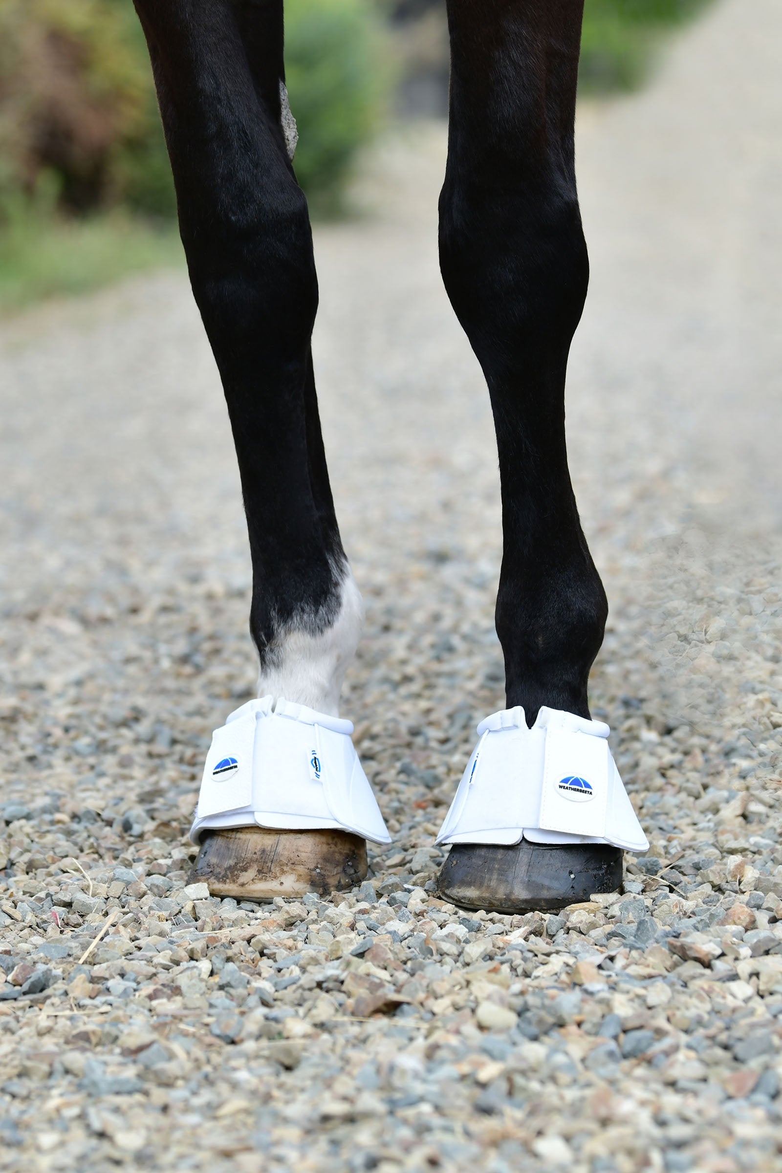 Weatherbeeta Tough-Tec Impact Bell Boots Leg Protection & Hoof Protection for Horses