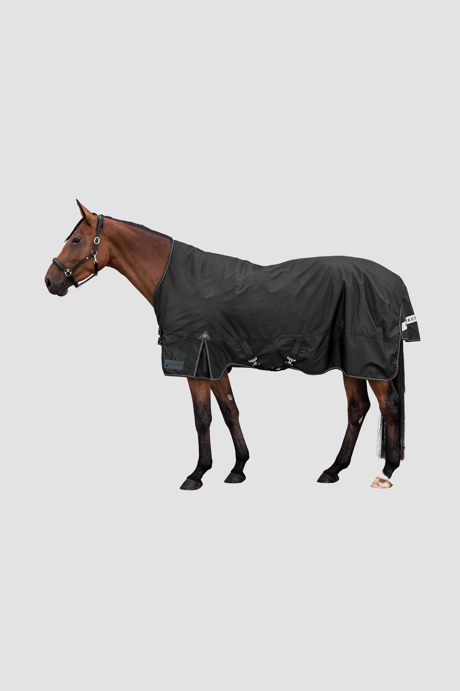 Waldhausen Outdoor Rug Arctic High Neck 200 g Pferdedecken