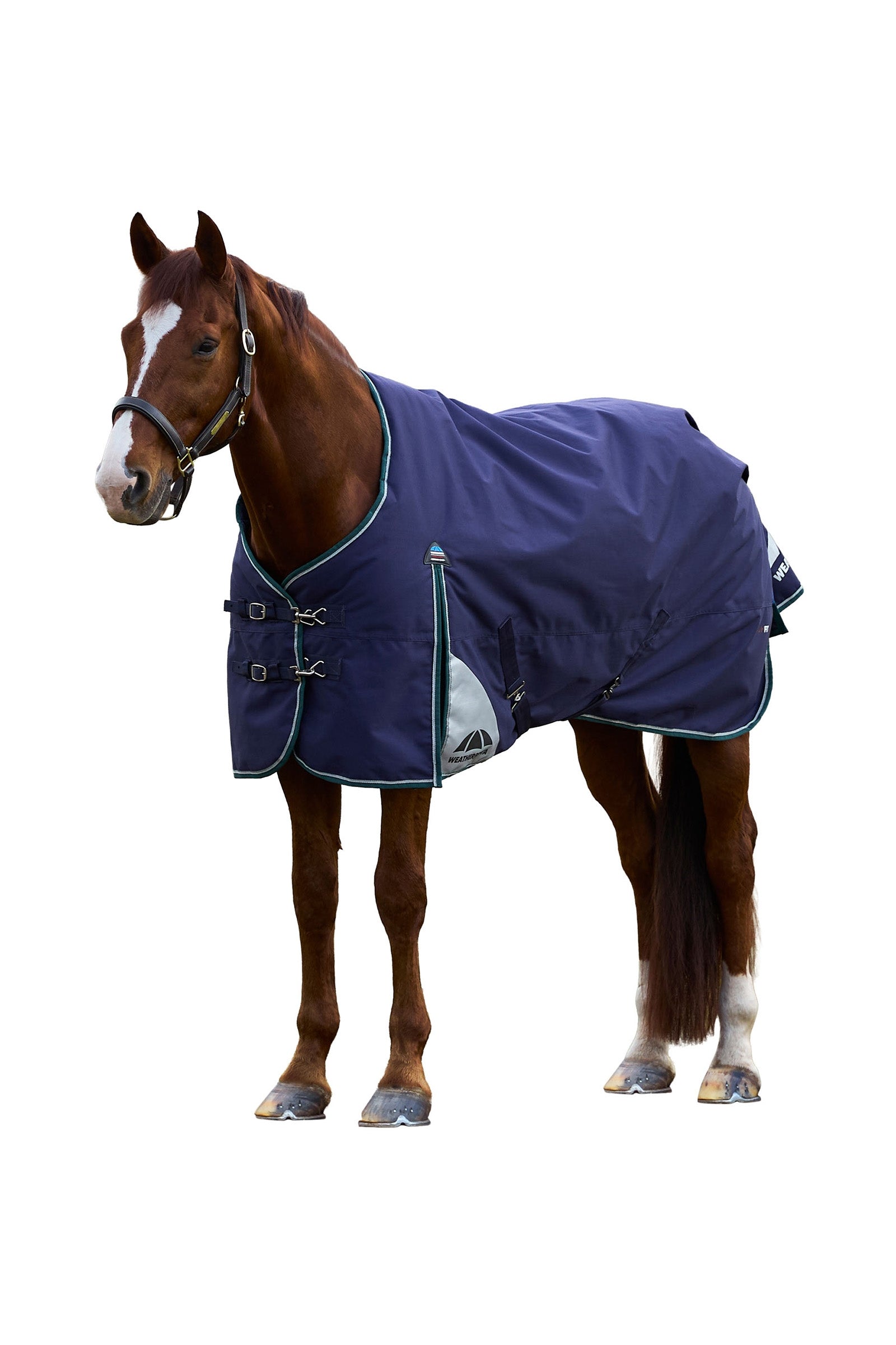 Weatherbeeta ComFiTecPlus Dynamic Turnout Detach-A-Neck 100G Horse Rugs