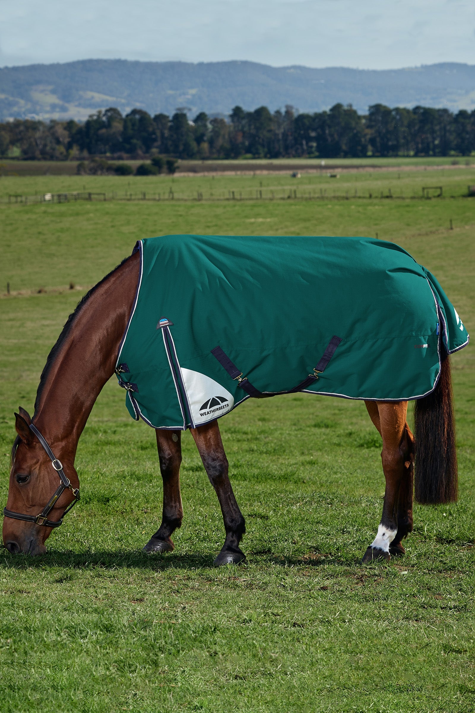 Weatherbeeta ComFiTecPlus Dynamic Turnout Detach-a-Neck, 100 g Horse Rugs