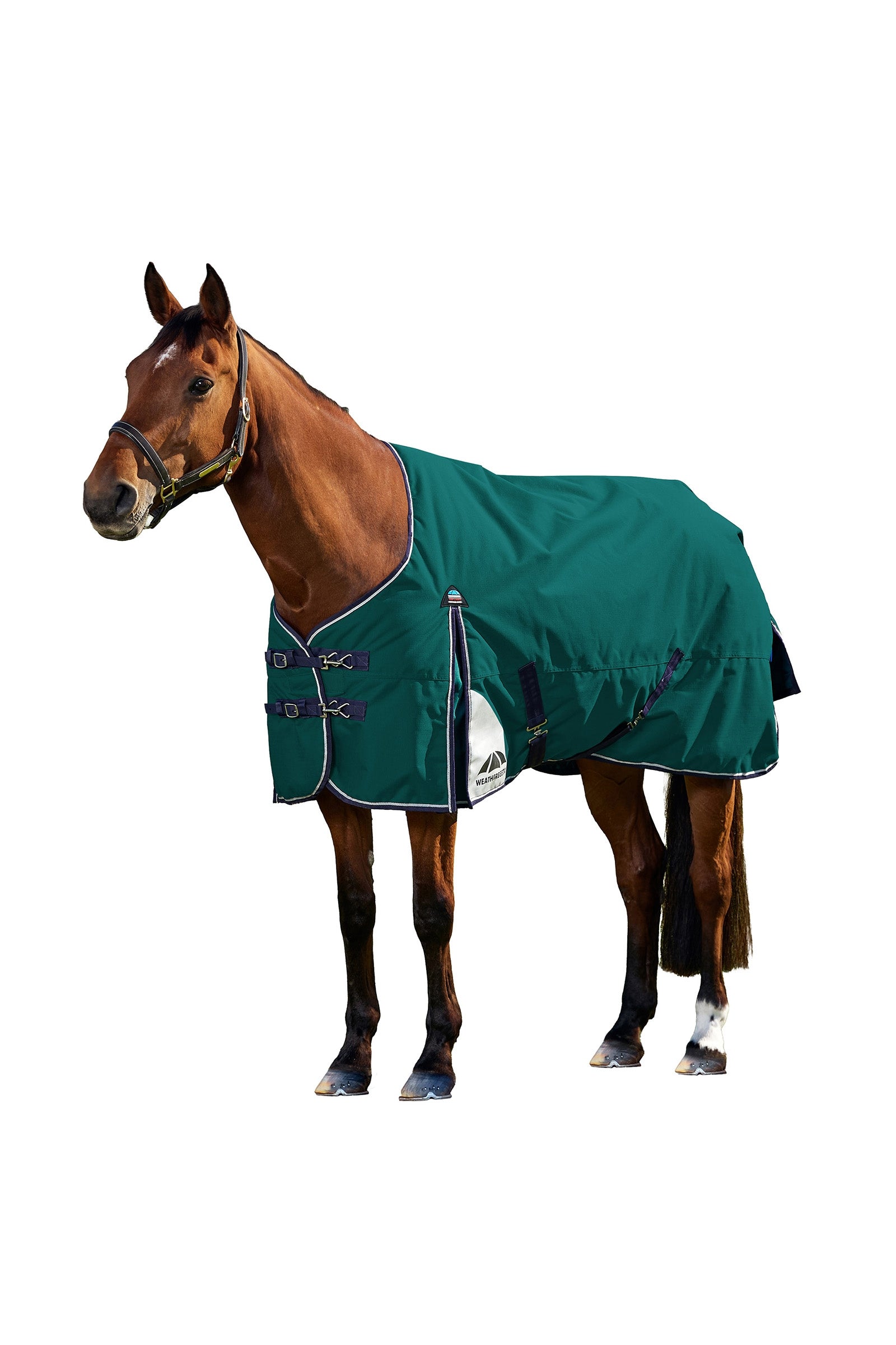 Weatherbeeta ComFiTecPlus Dynamic Turnout Detach-A-Neck 100G Horse Rugs