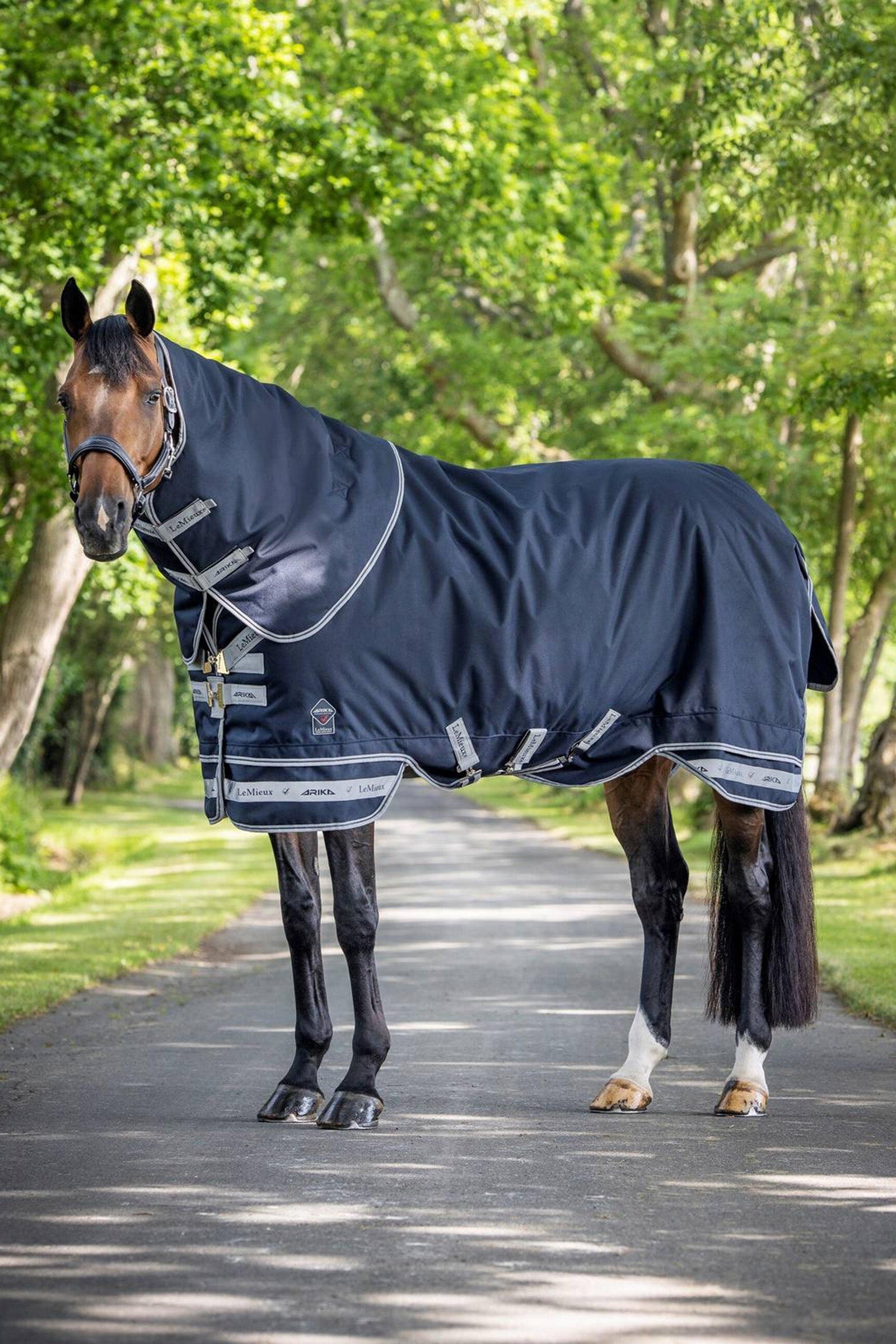 LeMieux Arika Storm-Tek Lightweight Turnout Rug, 100g Pferdedecken