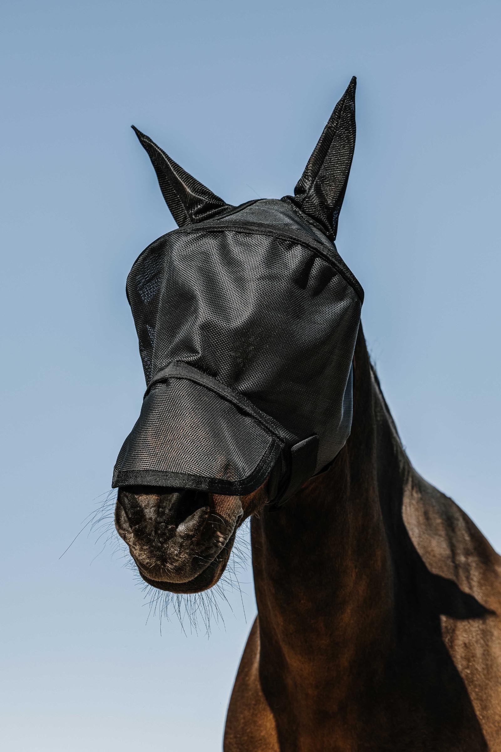 EQUITHÈME Protec Fliegenmaske / UV-Maske Fliegenschutz