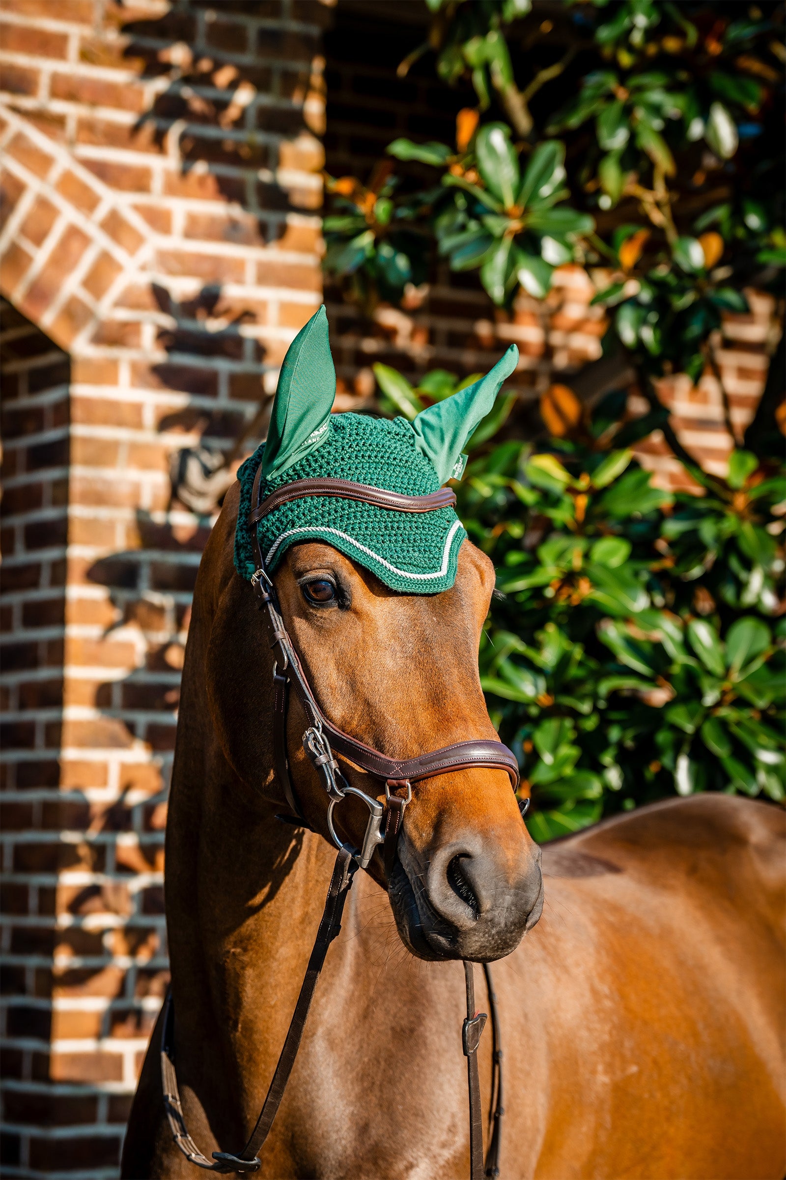 Horseware Signature Fliegenhaube Schabracken