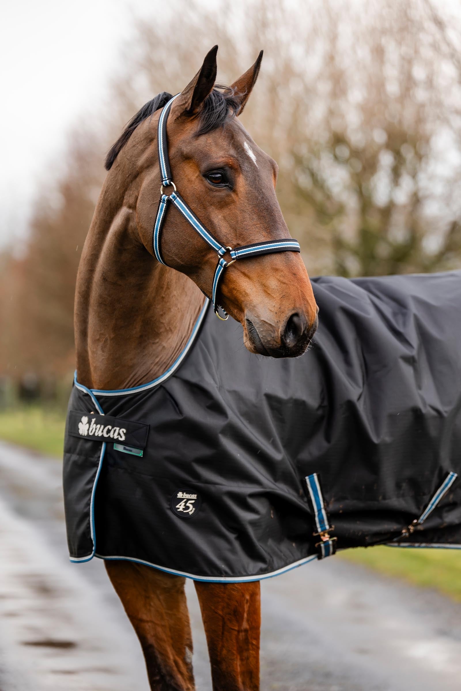 Bucas Anniversary SF Light Rain Turnout Rug, 50g Horse Rugs