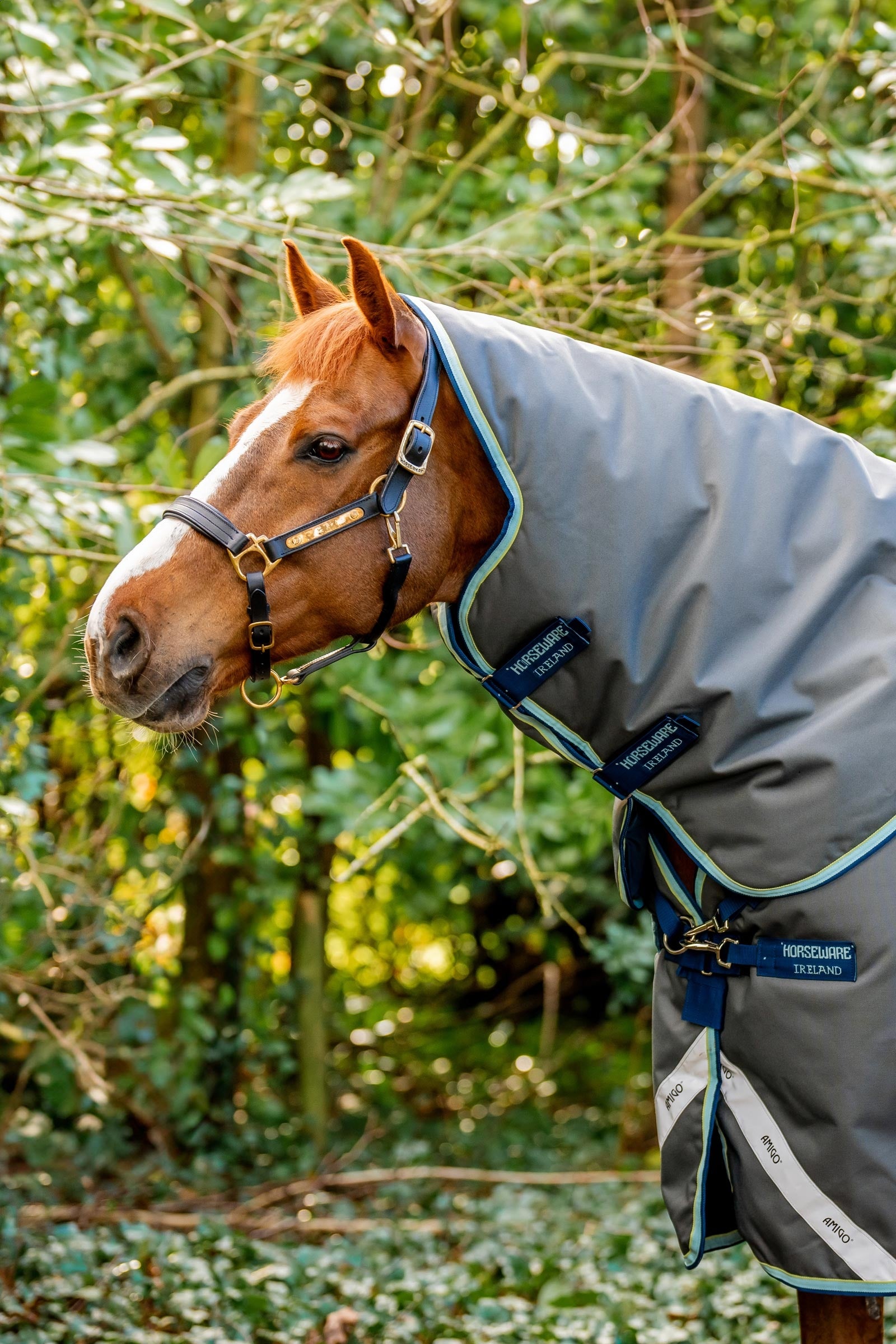 Horseware Amigo Bravo 12 Plus Turnout Rug With Detachable Neck, 400g Horse Rugs