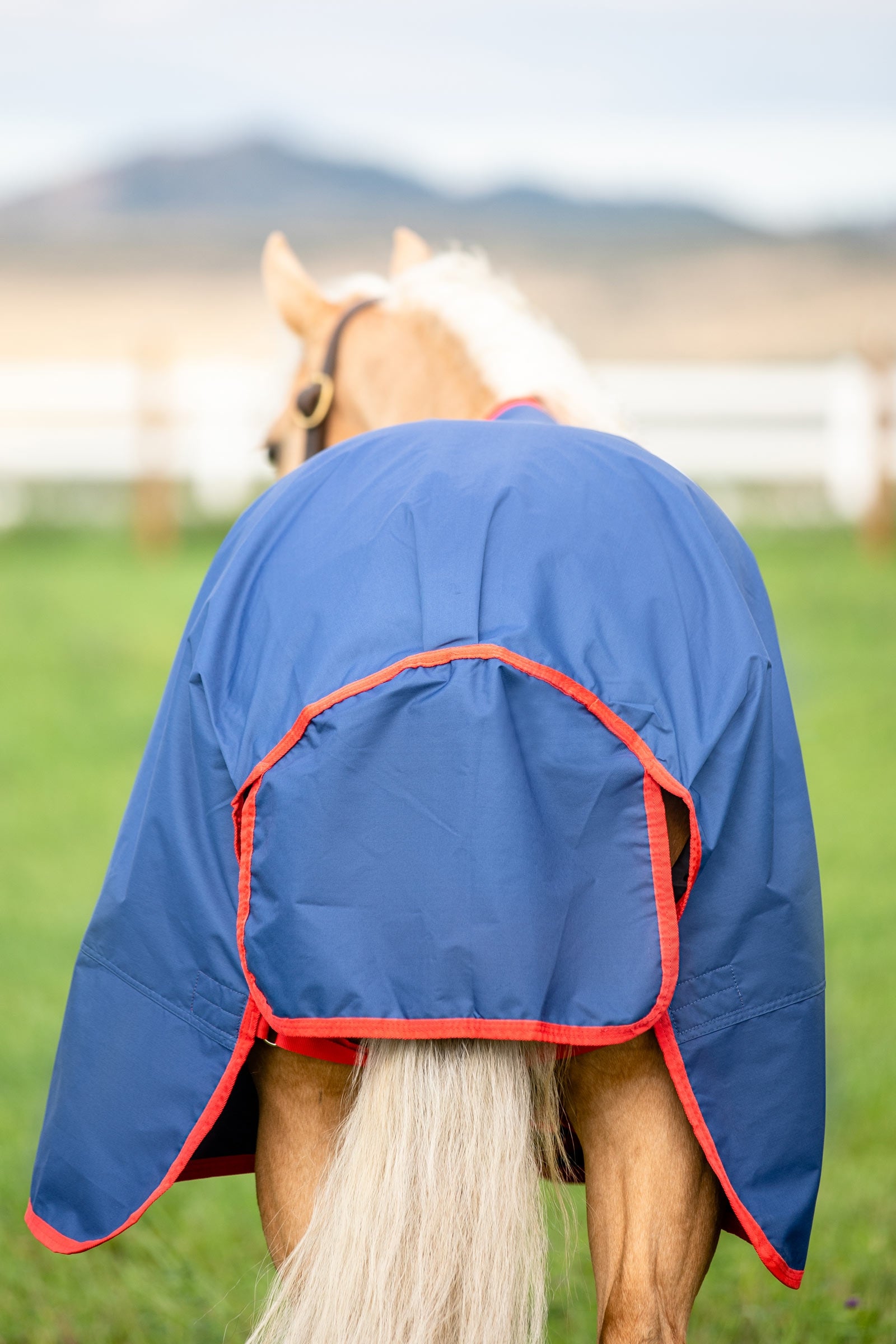 Horseware Mio Turnout Rug, 200g Horse Rugs
