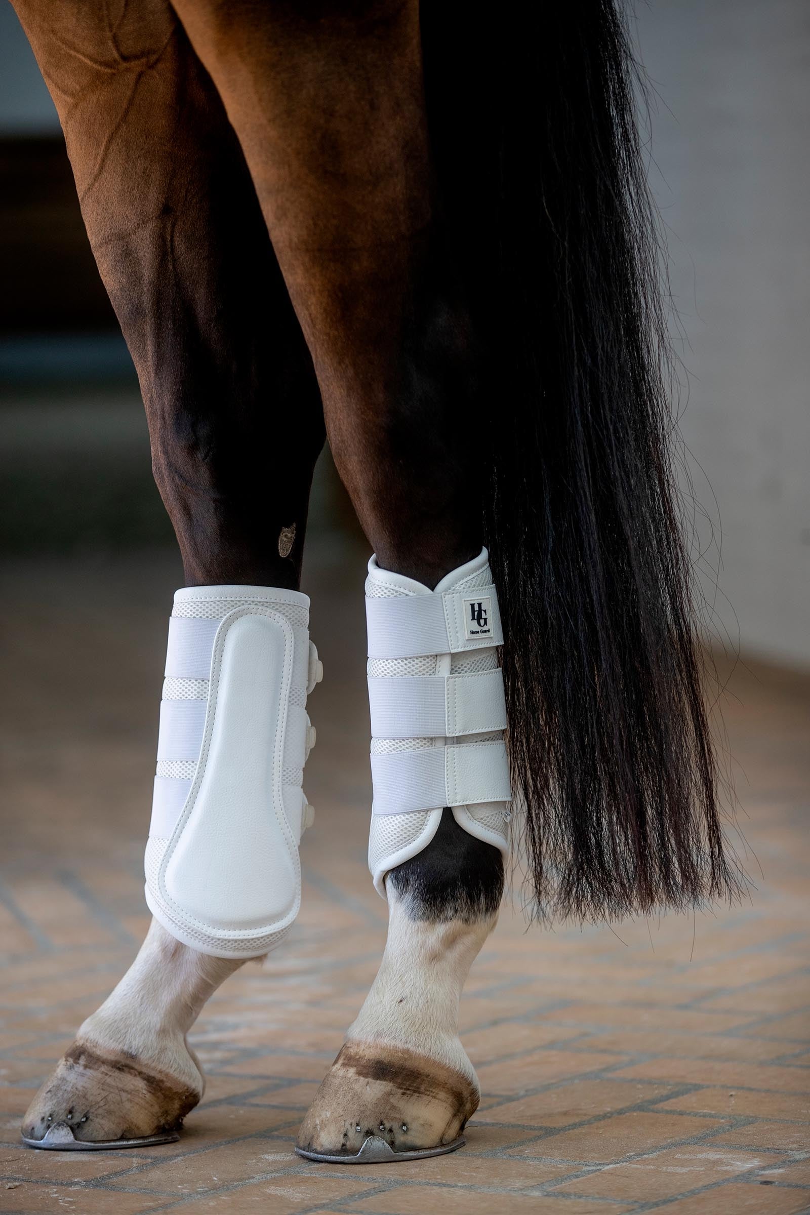 Horse Guard HorseGuard Timothy Mesh Dressage Boots Leg Protection & Hoof Protection for Horses