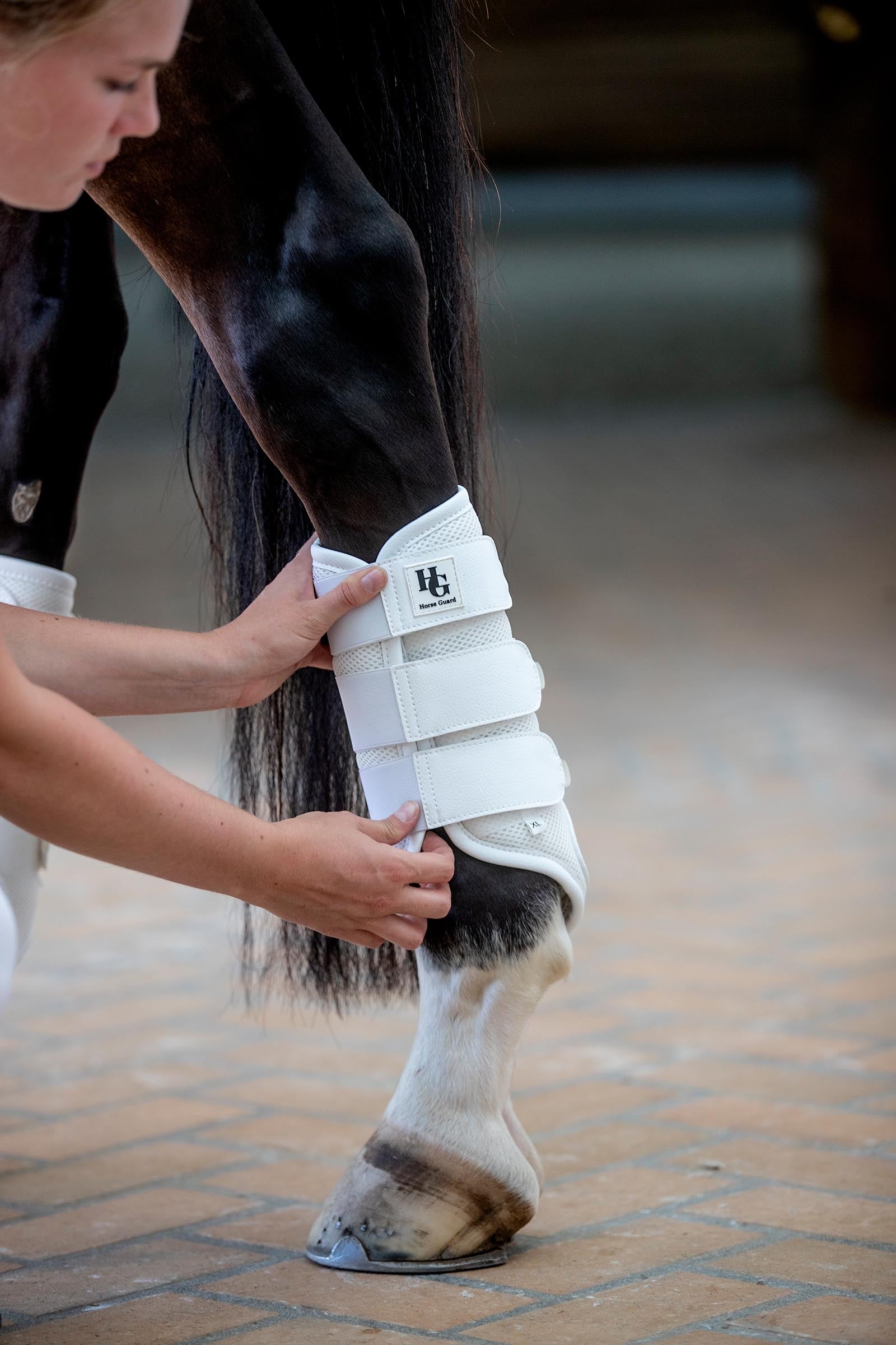 Horse Guard HorseGuard Timothy Mesh Dressage Boots Leg & Hoof Protection