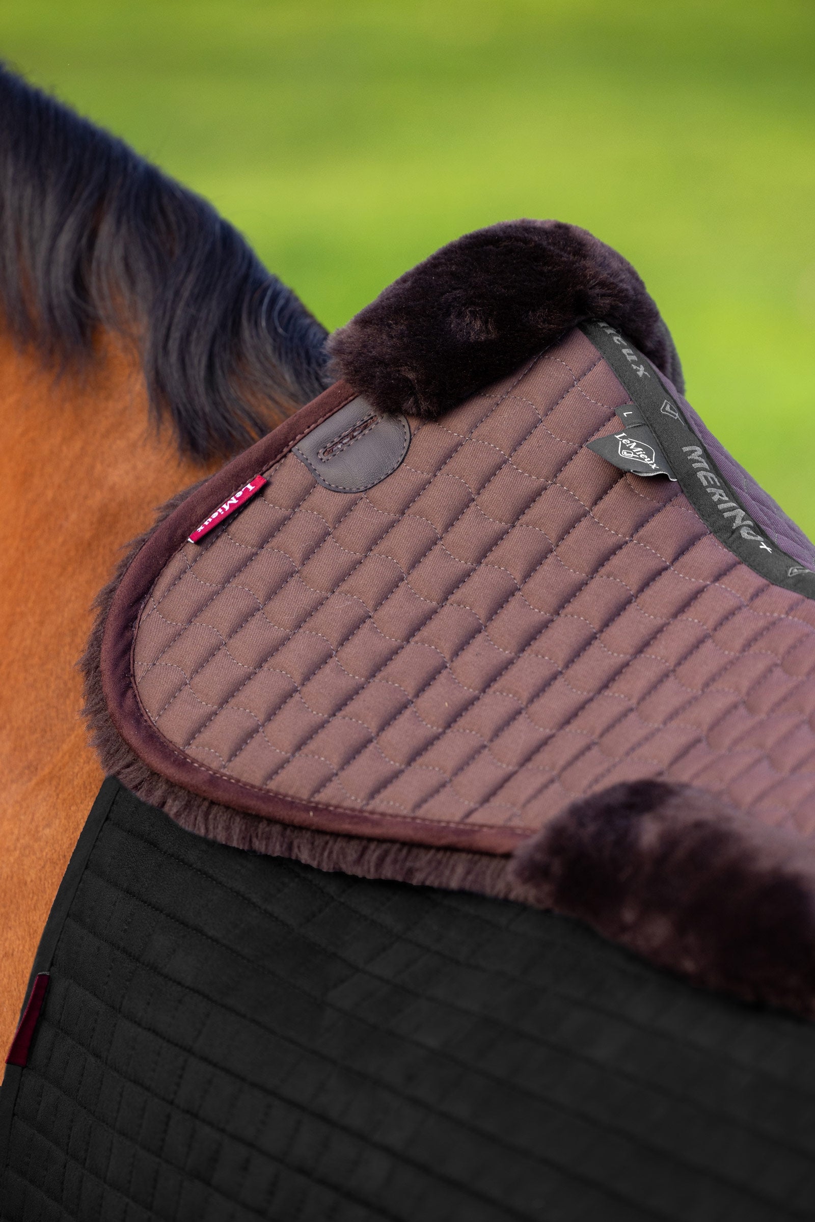 LeMieux Merino+ Half Pad Saddle Pads