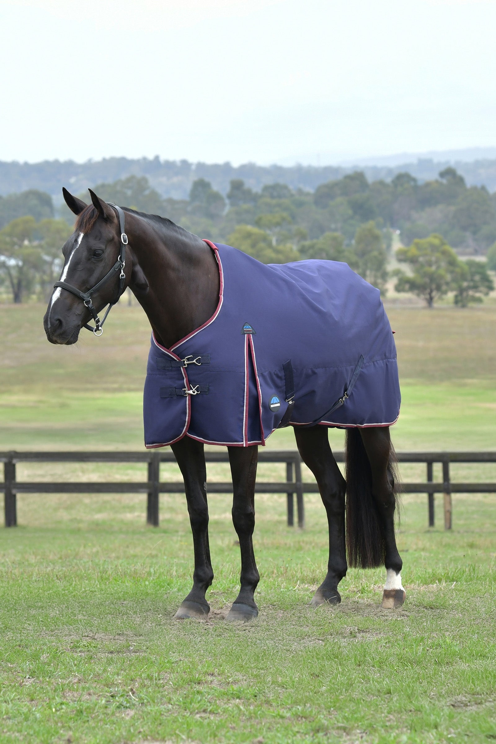 Weatherbeeta ComFiTec Essential Turnout Standard Neck 50G Pferdedecken