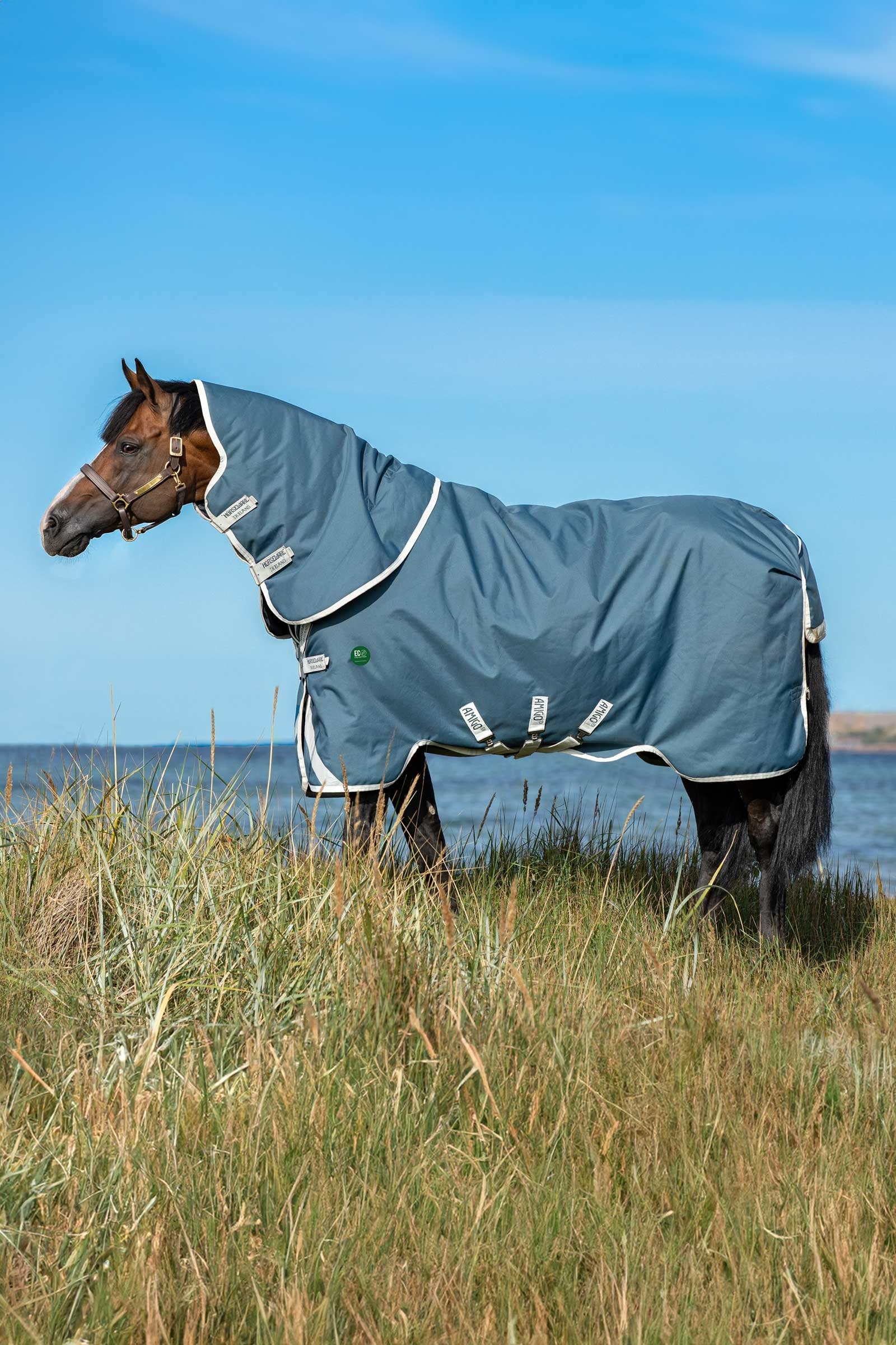 Horseware Amigo AmEco 12 Plus Turnout Rug With Detachable Neck, 100g Horse Rugs