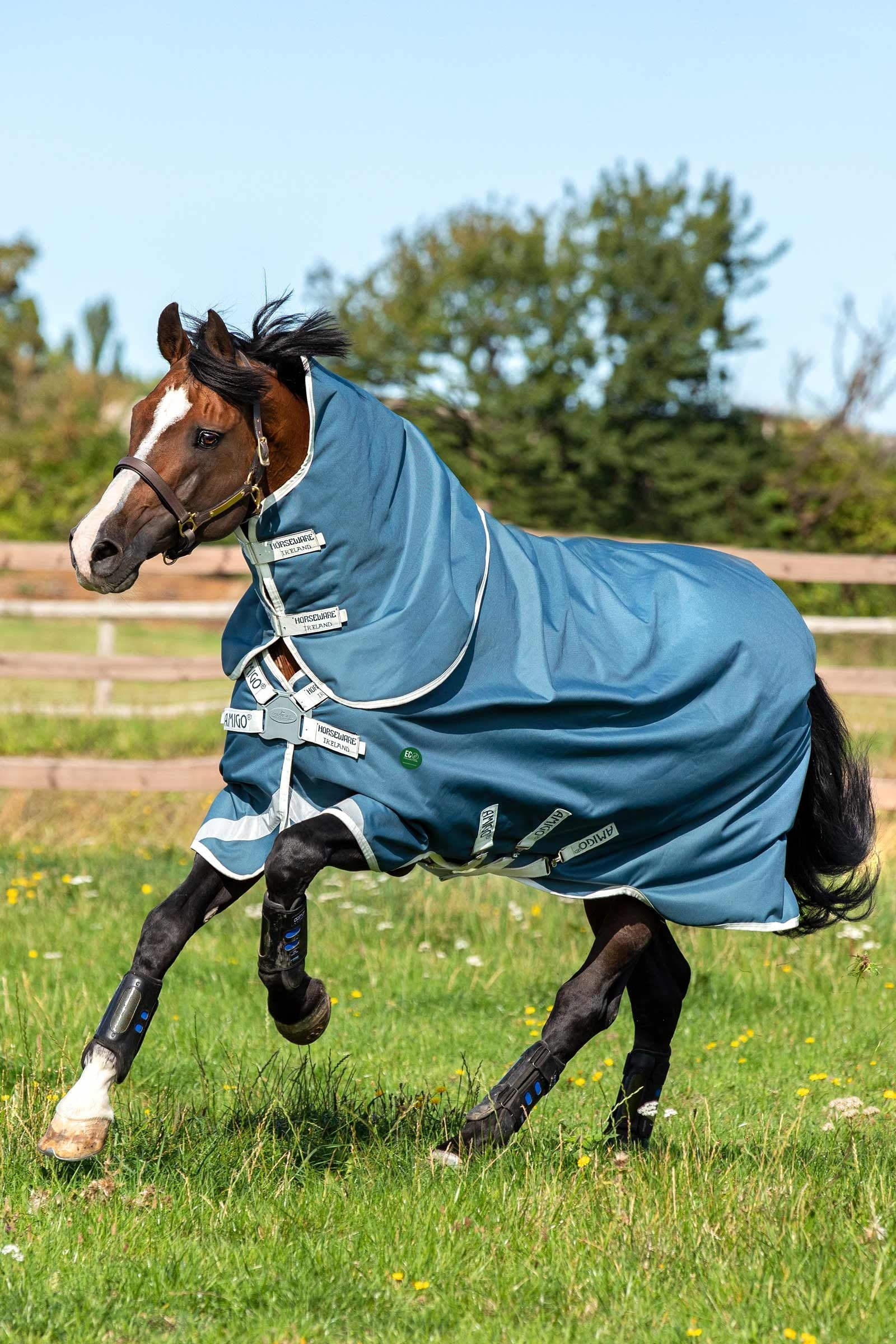 Horseware Amigo AmEco 12 Plus Turnout Rug With Detachable Neck, 100g Horse Rugs