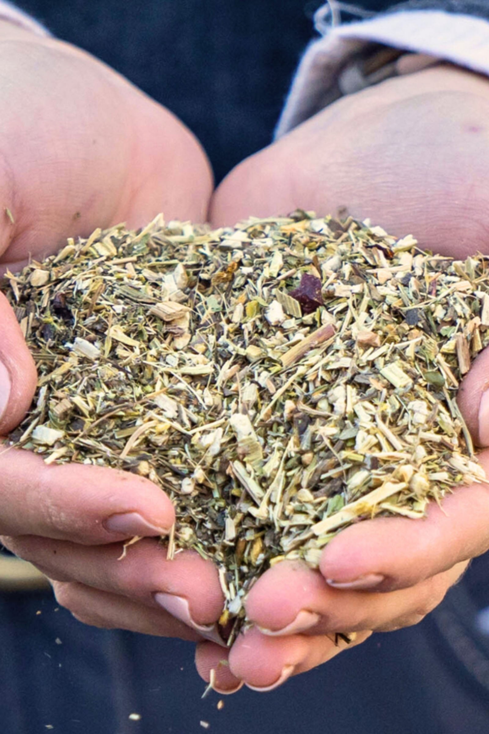 Stiefel Immunity Herbs, 1kg Horse Feed & Nutrition