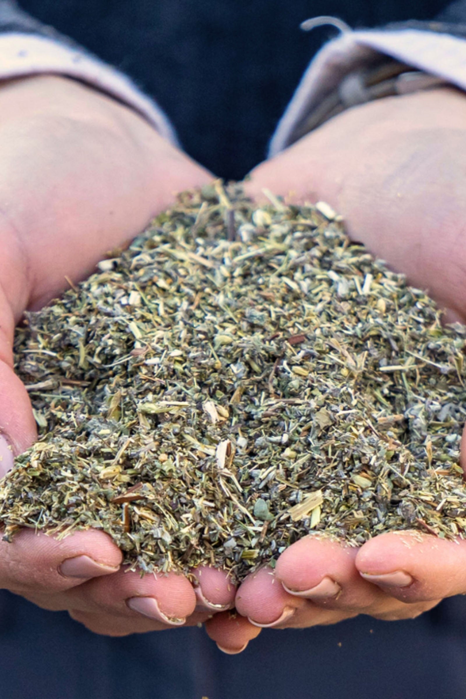 Stiefel Intestinal Herbs, 1kg Horse Feed & Nutrition