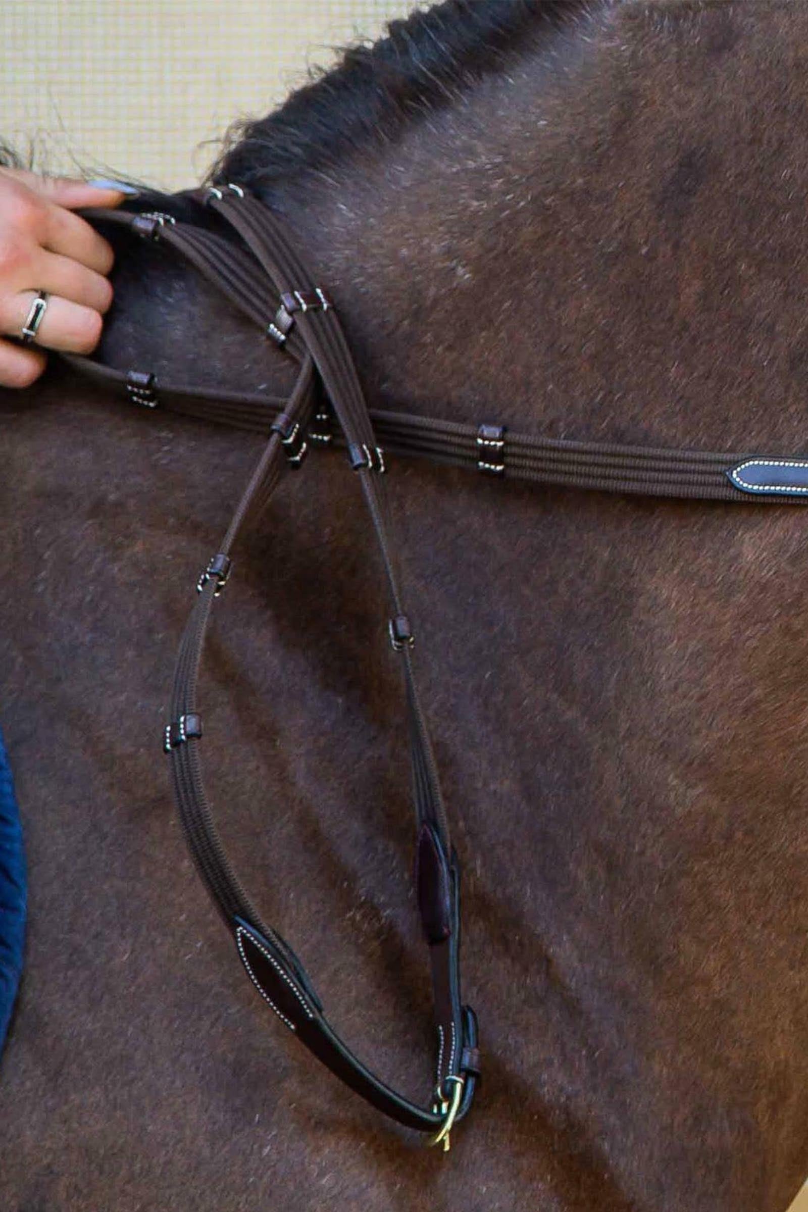 Dy'on D Collection 5/8 Web Reins With 9 Leather Loops Bridles & Reins