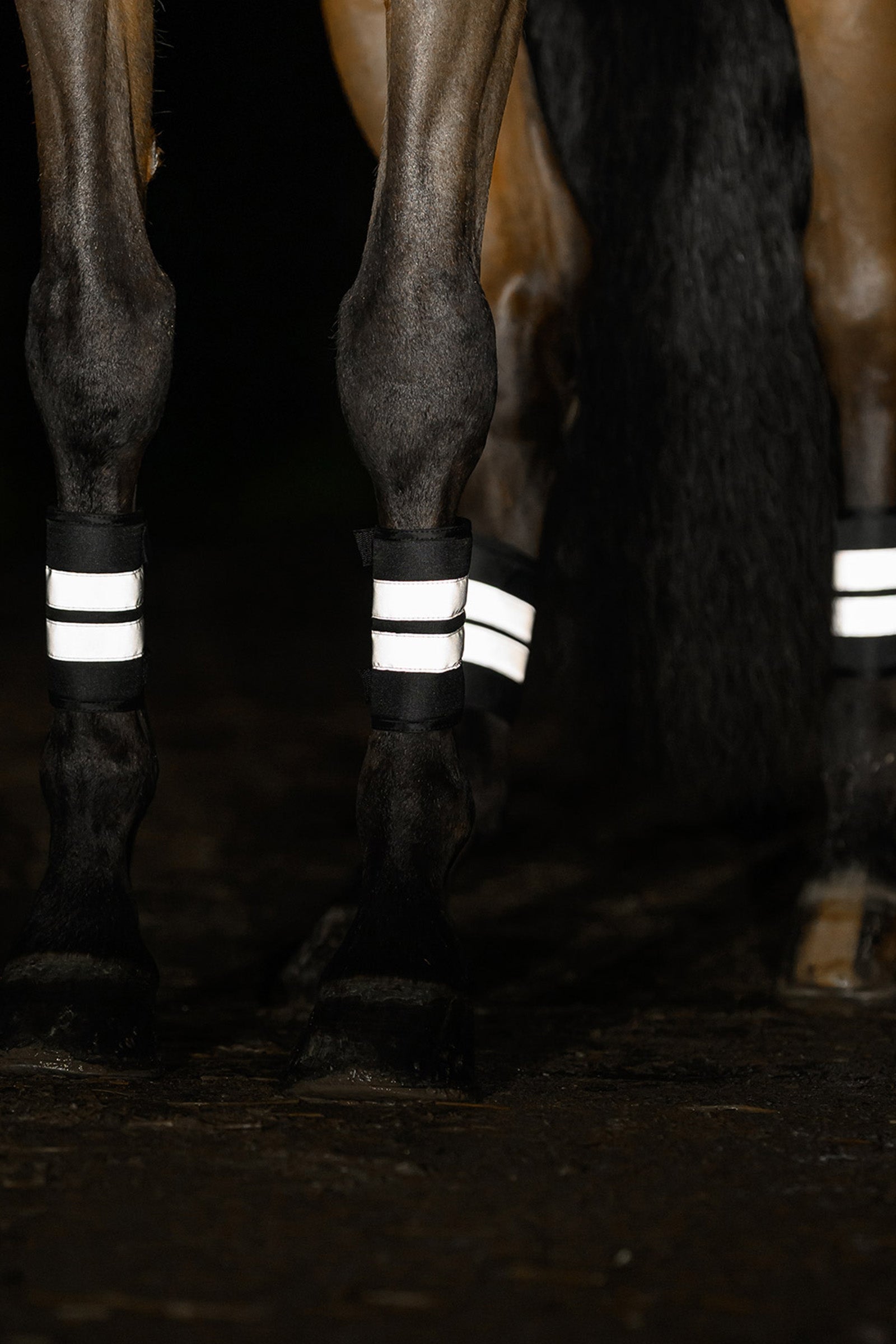 Waldhausen REFLEX Bandages Set Reflective