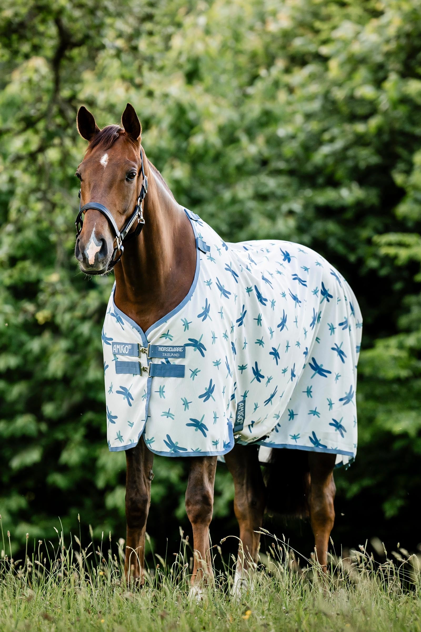 Horseware Amigo Fliegendecke mit UV-Schutz Pferdedecken