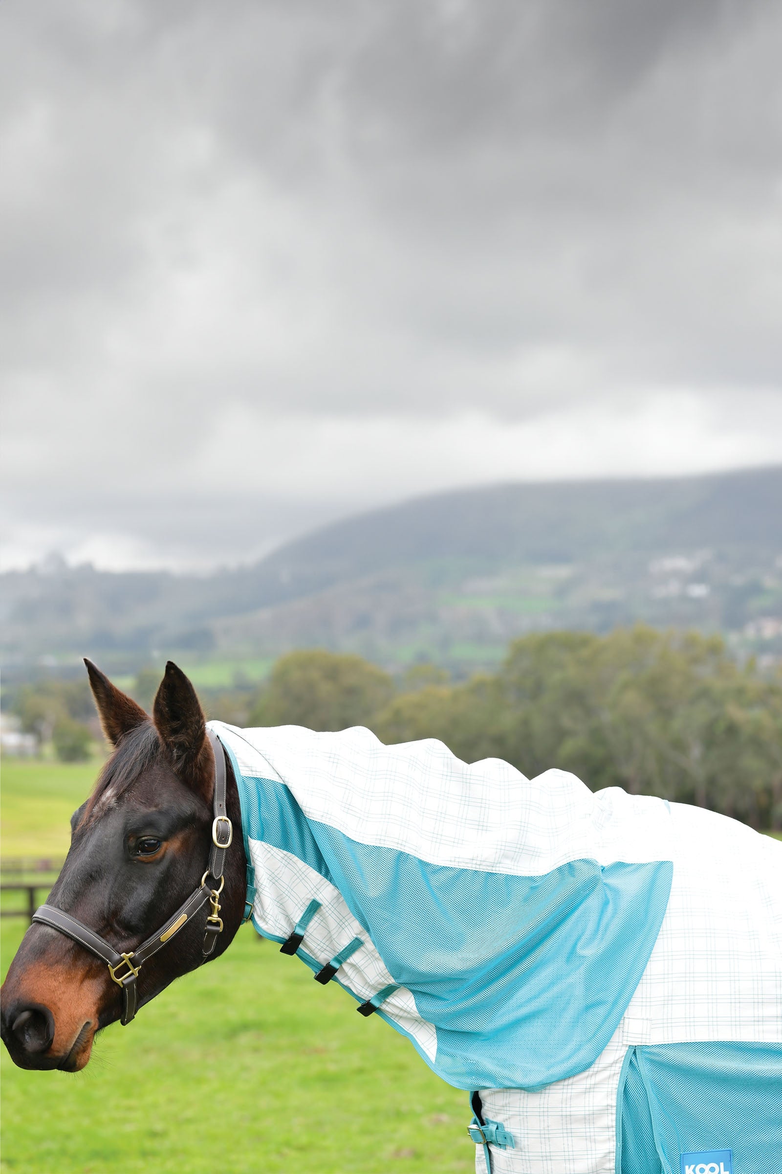 Weatherbeeta Kool Coat Cotton Airstream Ii Detach-A-Neck Horse Rugs