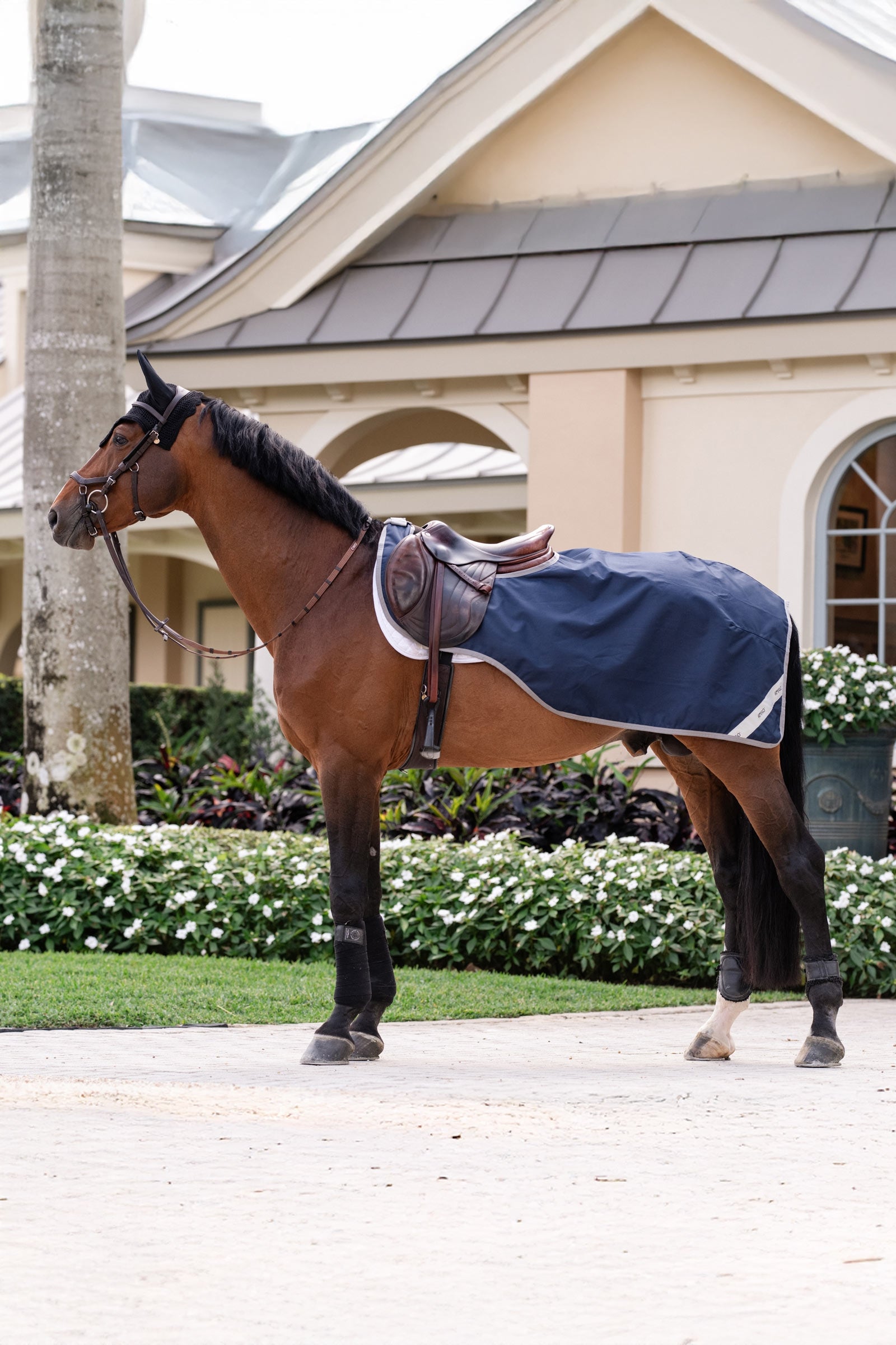 Horseware Amigo Ripstop Ausreitdecke Pferdedecken