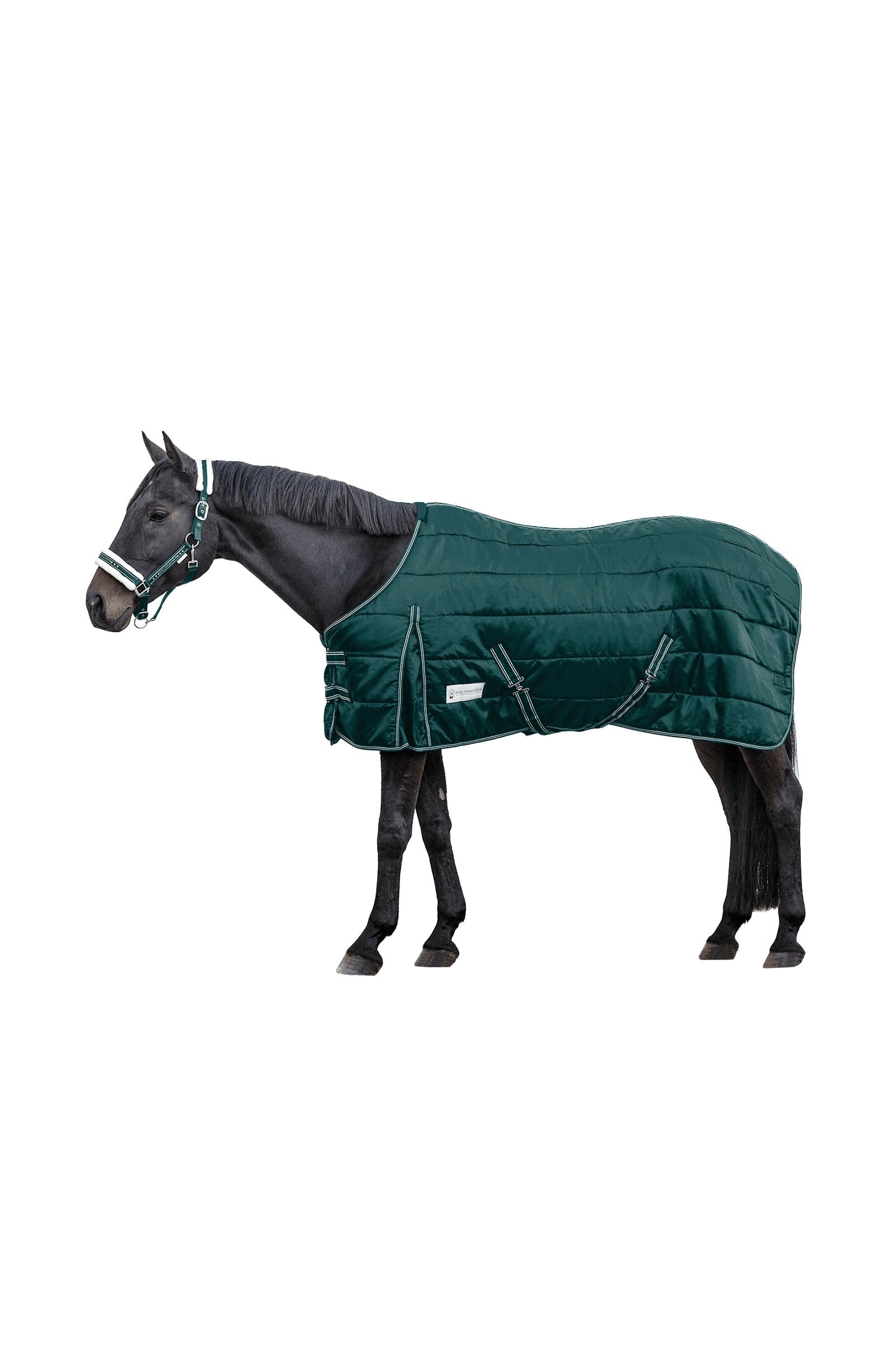 Waldhausen Stable Rug Economic 300 g Pferdedecken