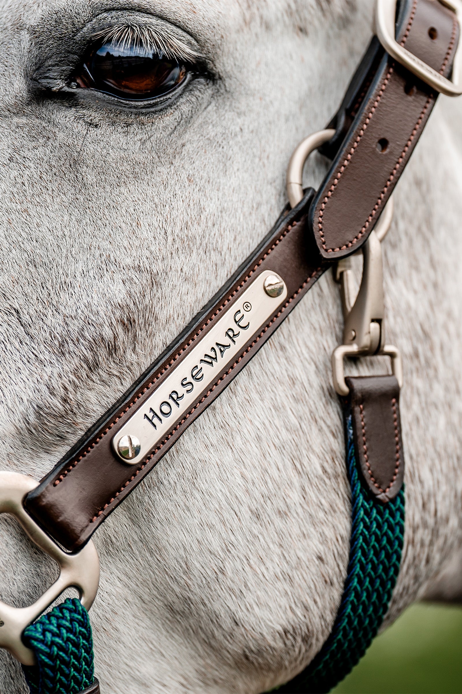 Horseware Signature Braided Headcollar Halters & Leads